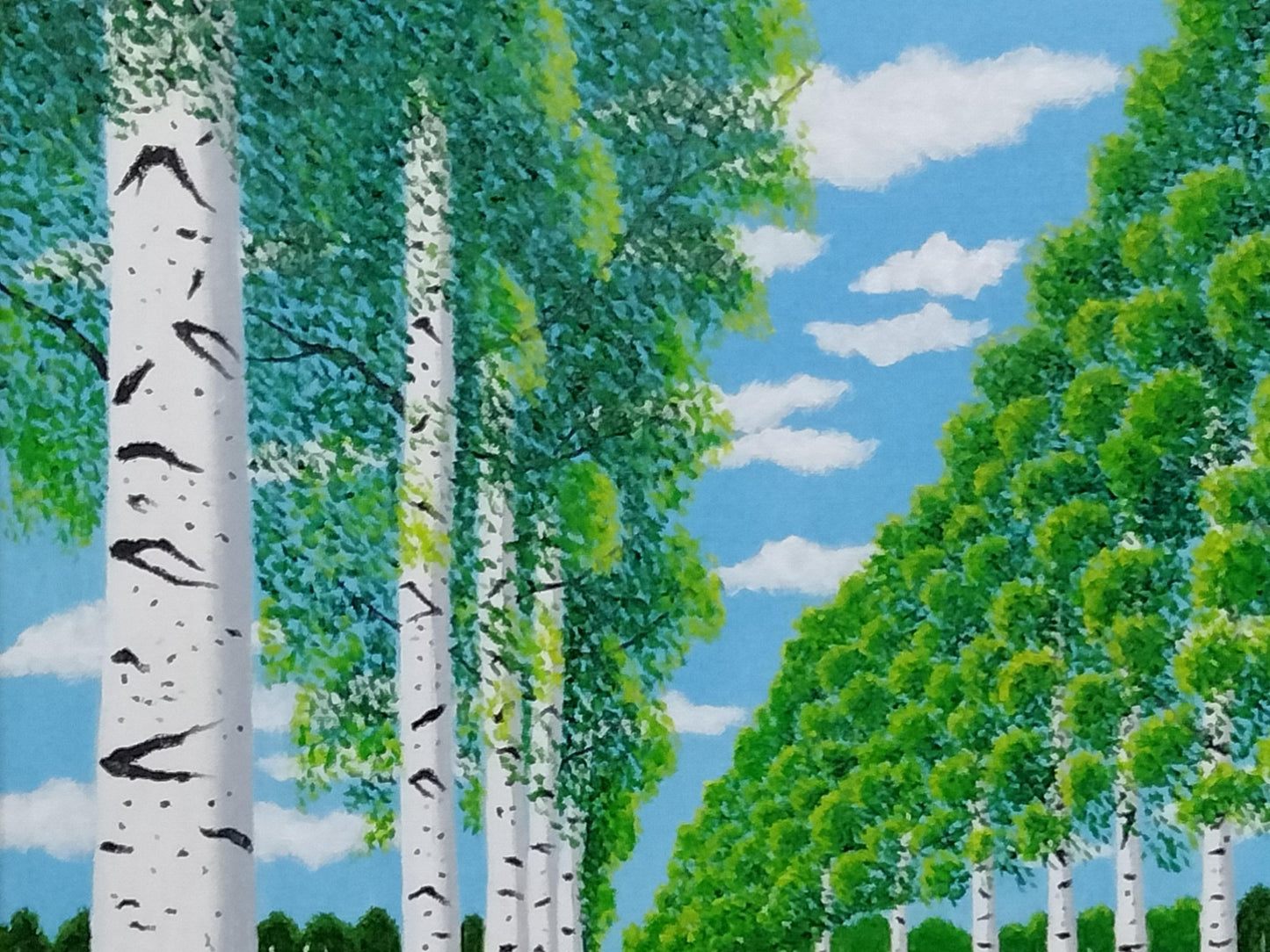 白樺 並木とたんぽぽⅡ - FROM ARTIST