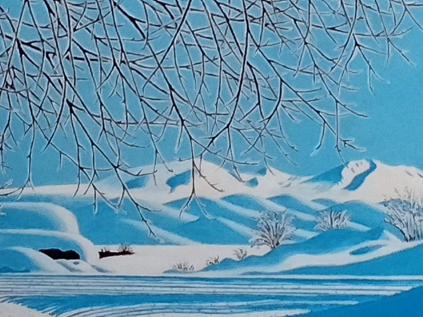 北海道 樹氷のある木 - FROM ARTIST