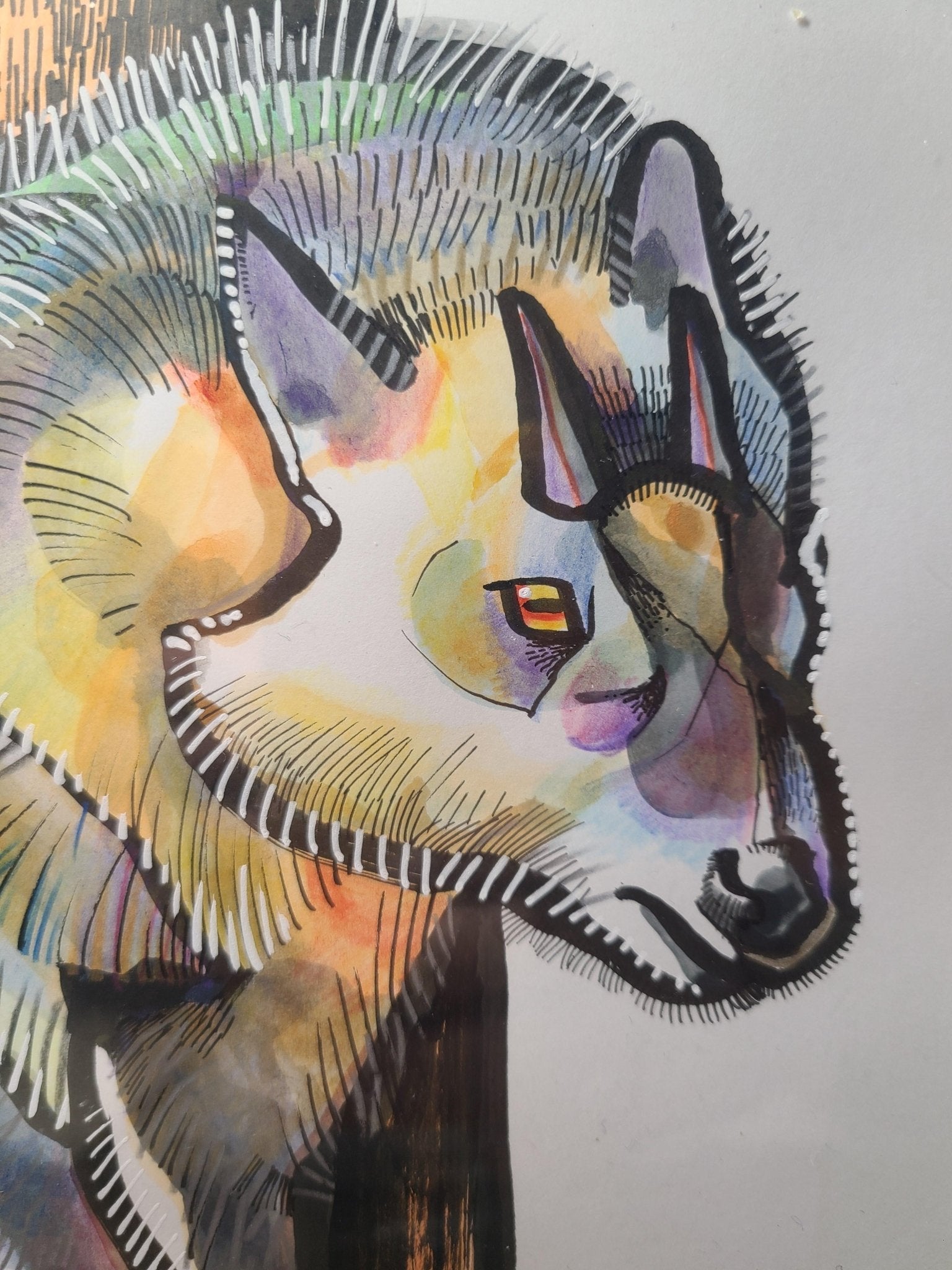 カモシカ - FROM ARTIST