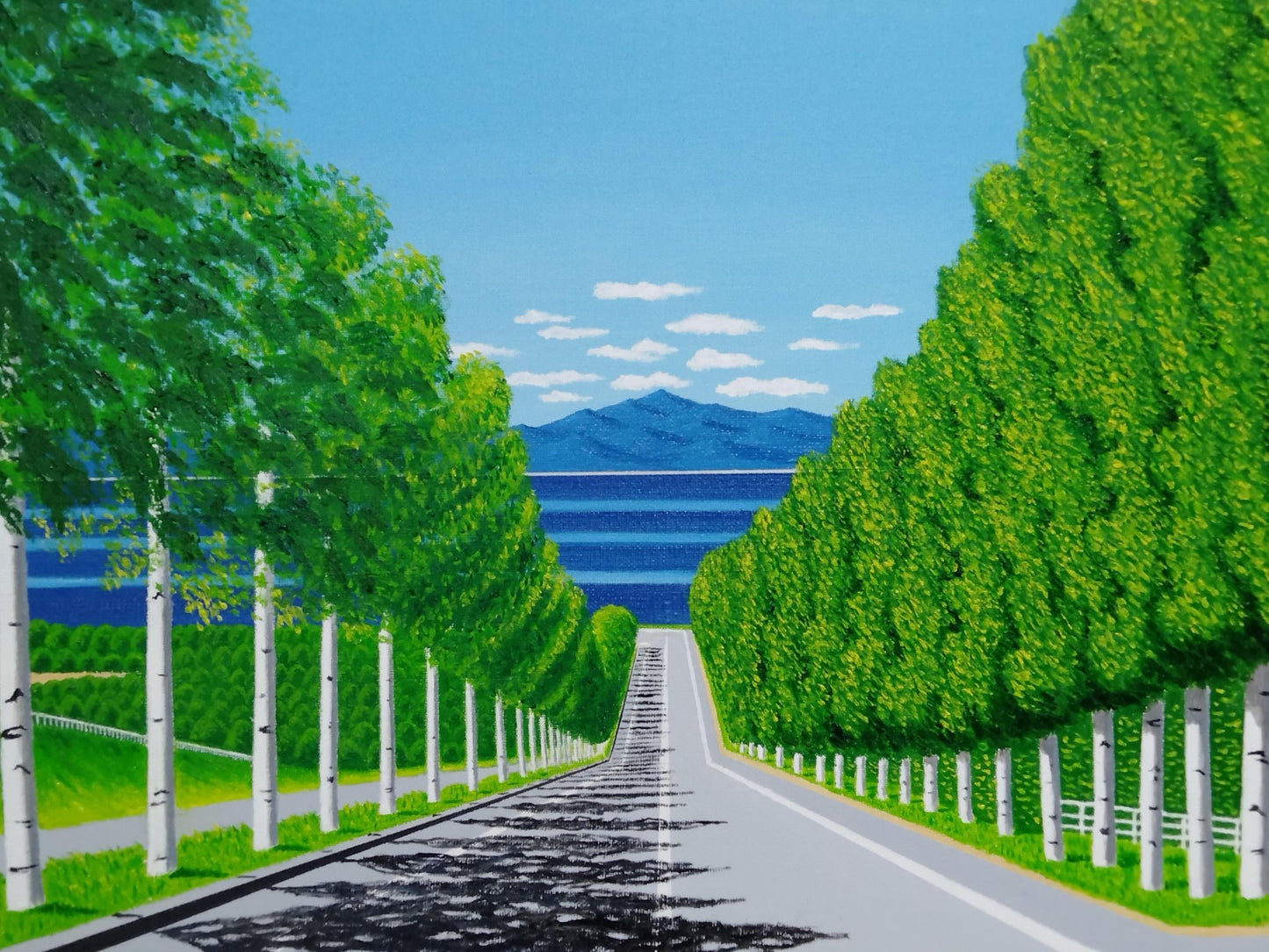 白樺 並木通り - FROM ARTIST