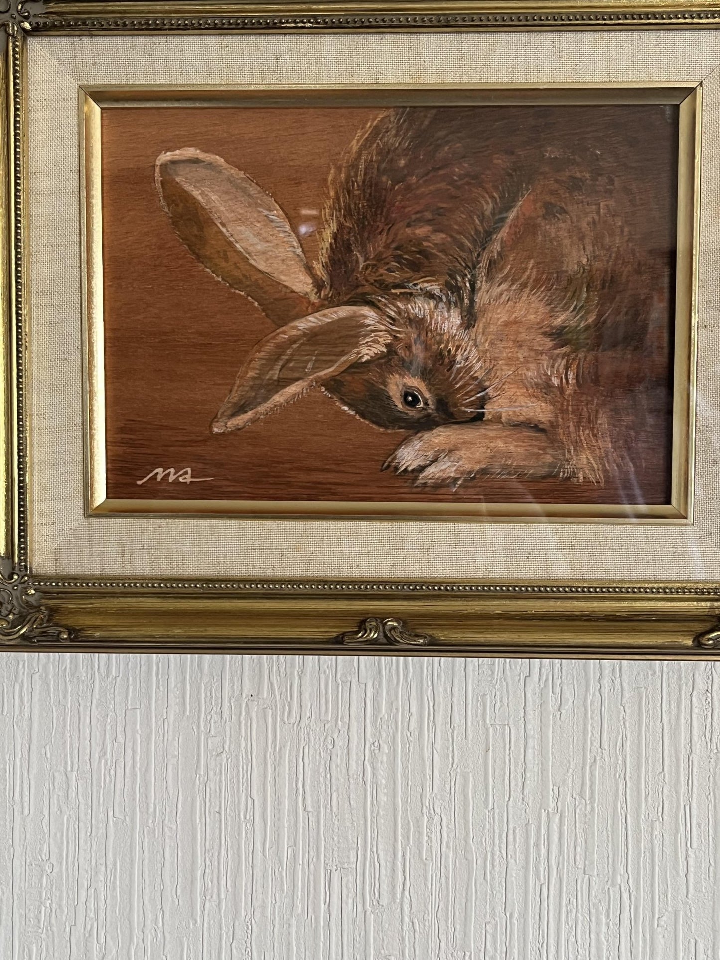 兎・俯く目 - FROM ARTIST