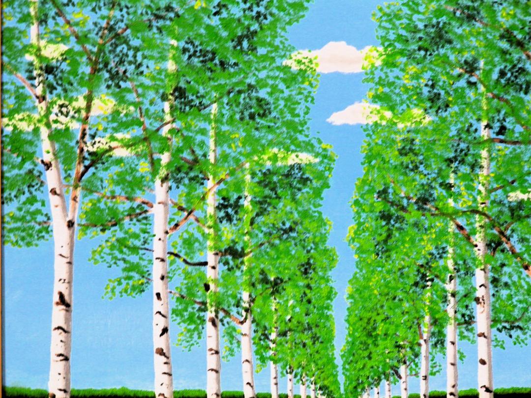 北海道 白樺並木 - FROM ARTIST