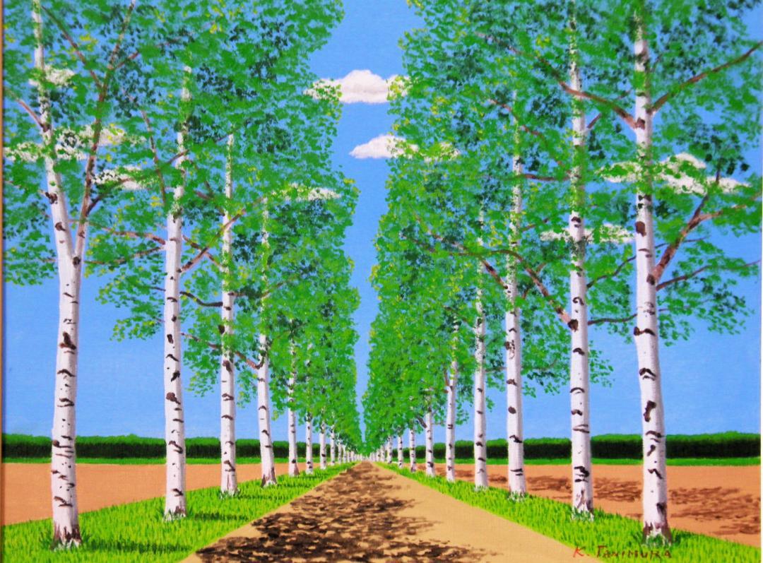 北海道 白樺並木 - FROM ARTIST