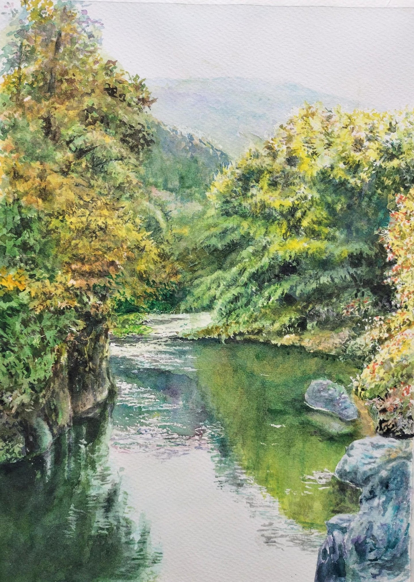 川沿いの緑 - FROM ARTIST