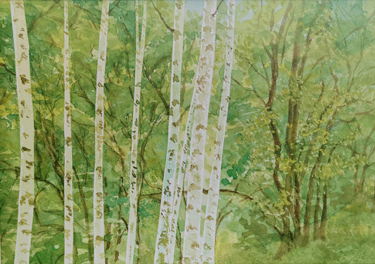 白樺林 - FROM ARTIST