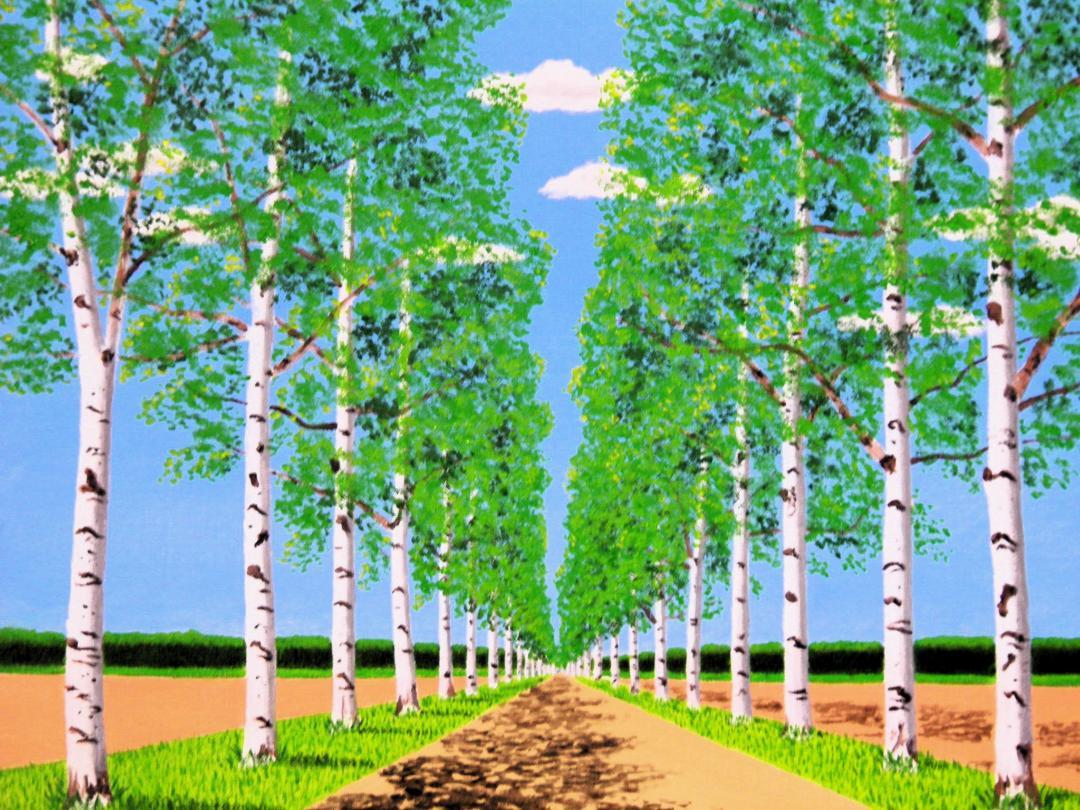 北海道 白樺並木 - FROM ARTIST