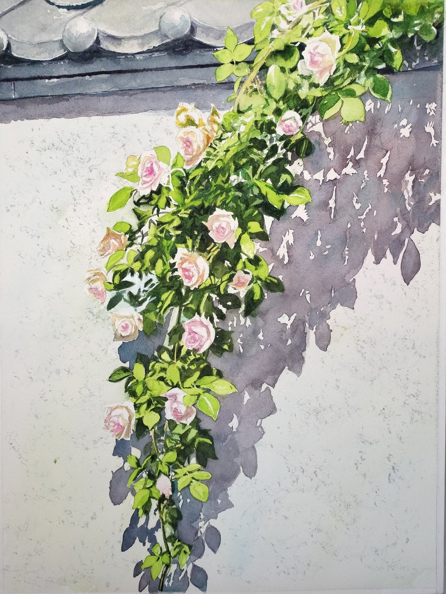 塀の薔薇 - FROM ARTIST
