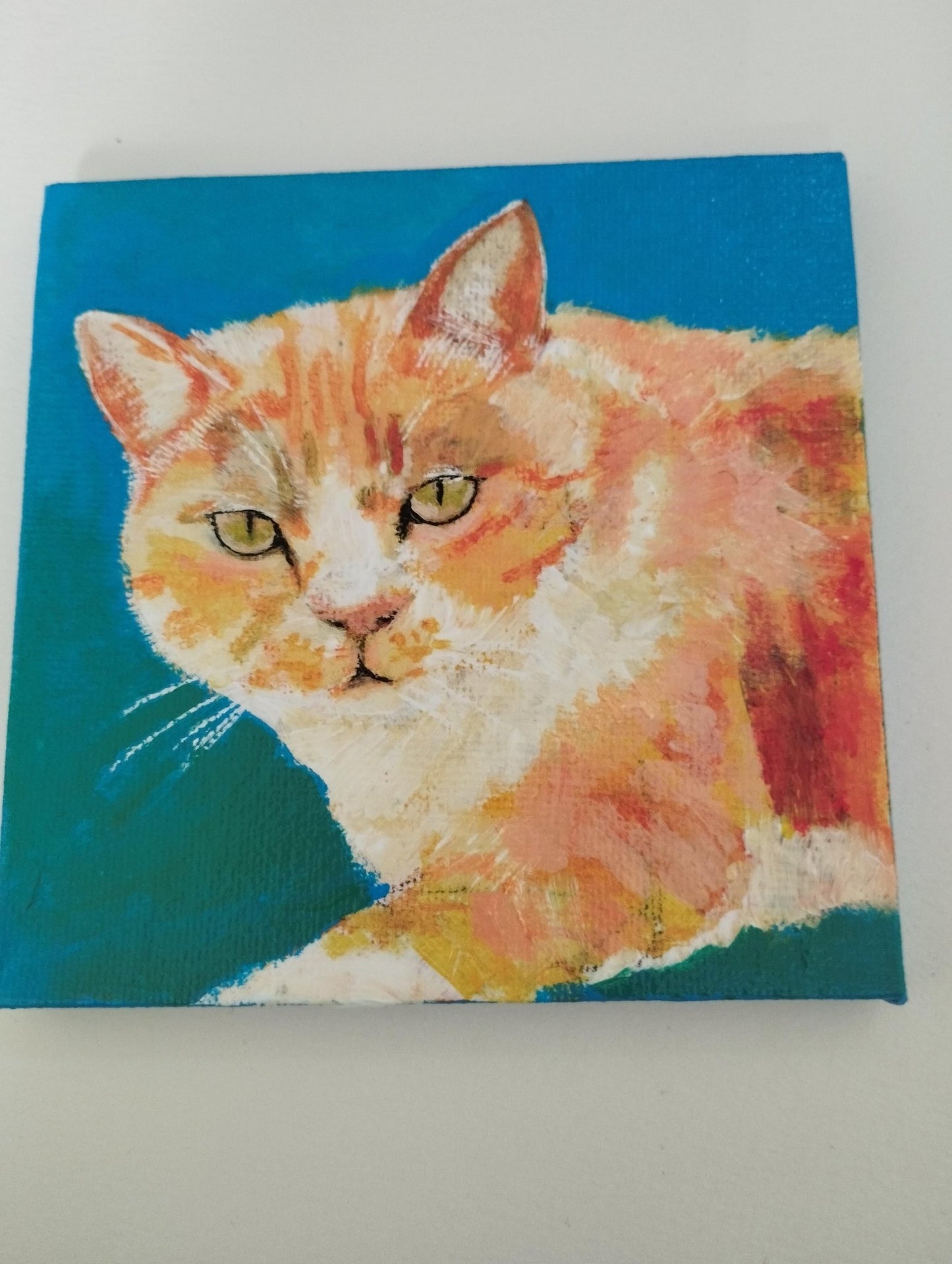 様子を伺う猫 - FROM ARTIST
