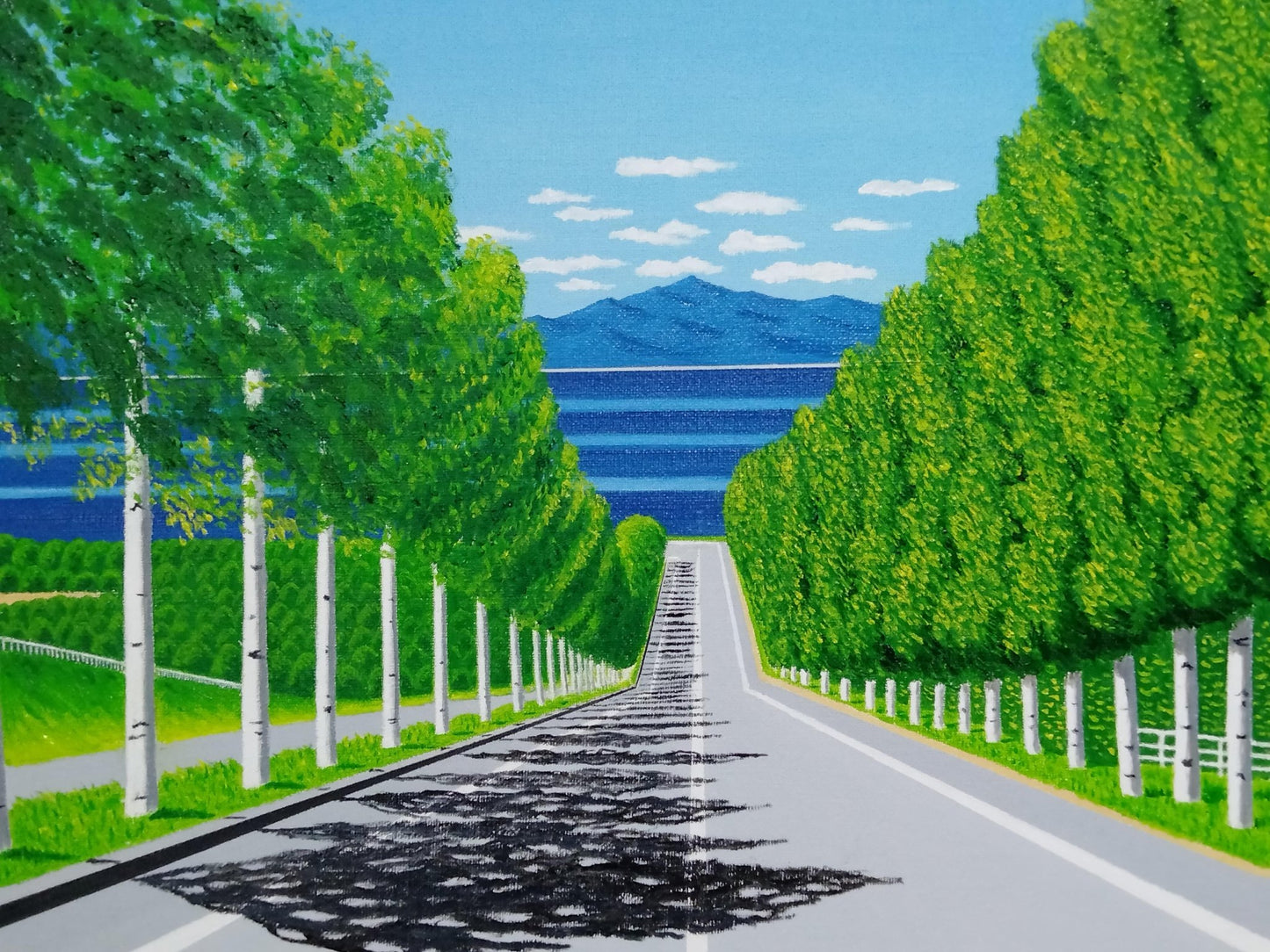 白樺 並木通り - FROM ARTIST