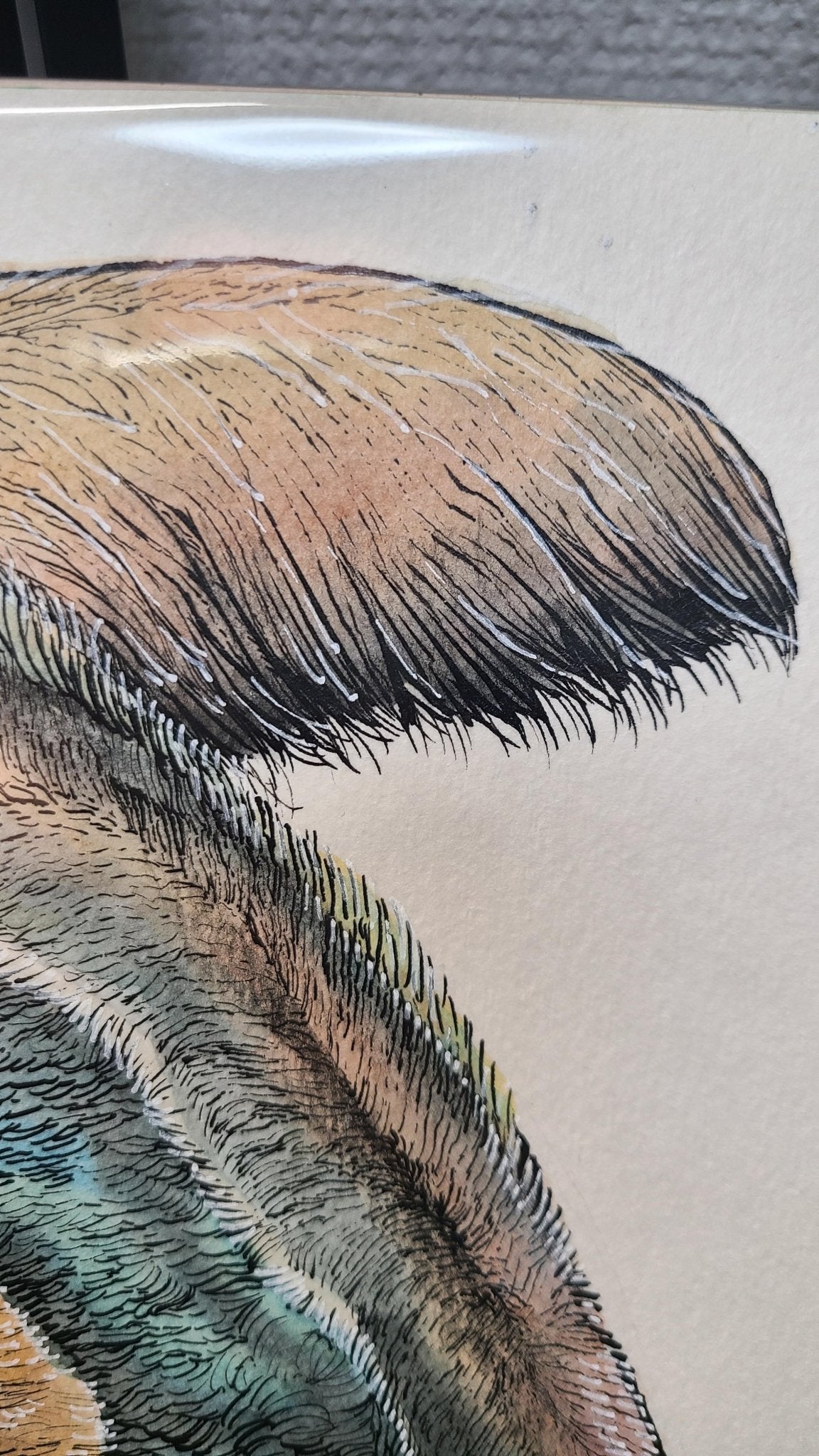 オオアリクイ - FROM ARTIST