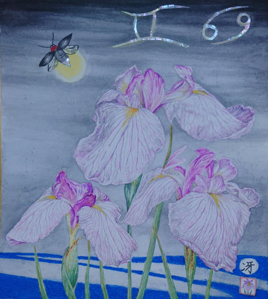 菖蒲華 蛍の候 - FROM ARTIST