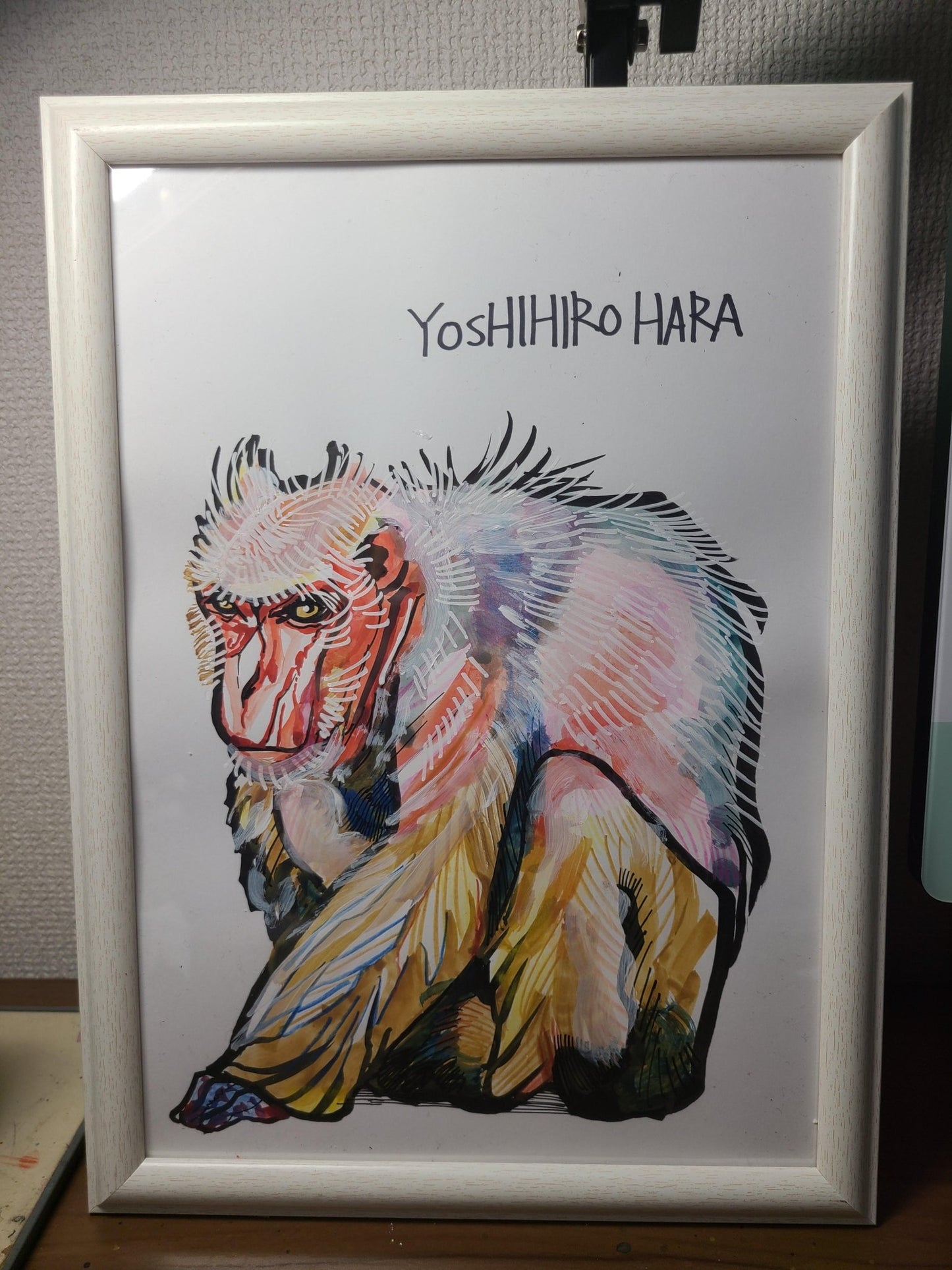 年老いたニホンザル - FROM ARTIST