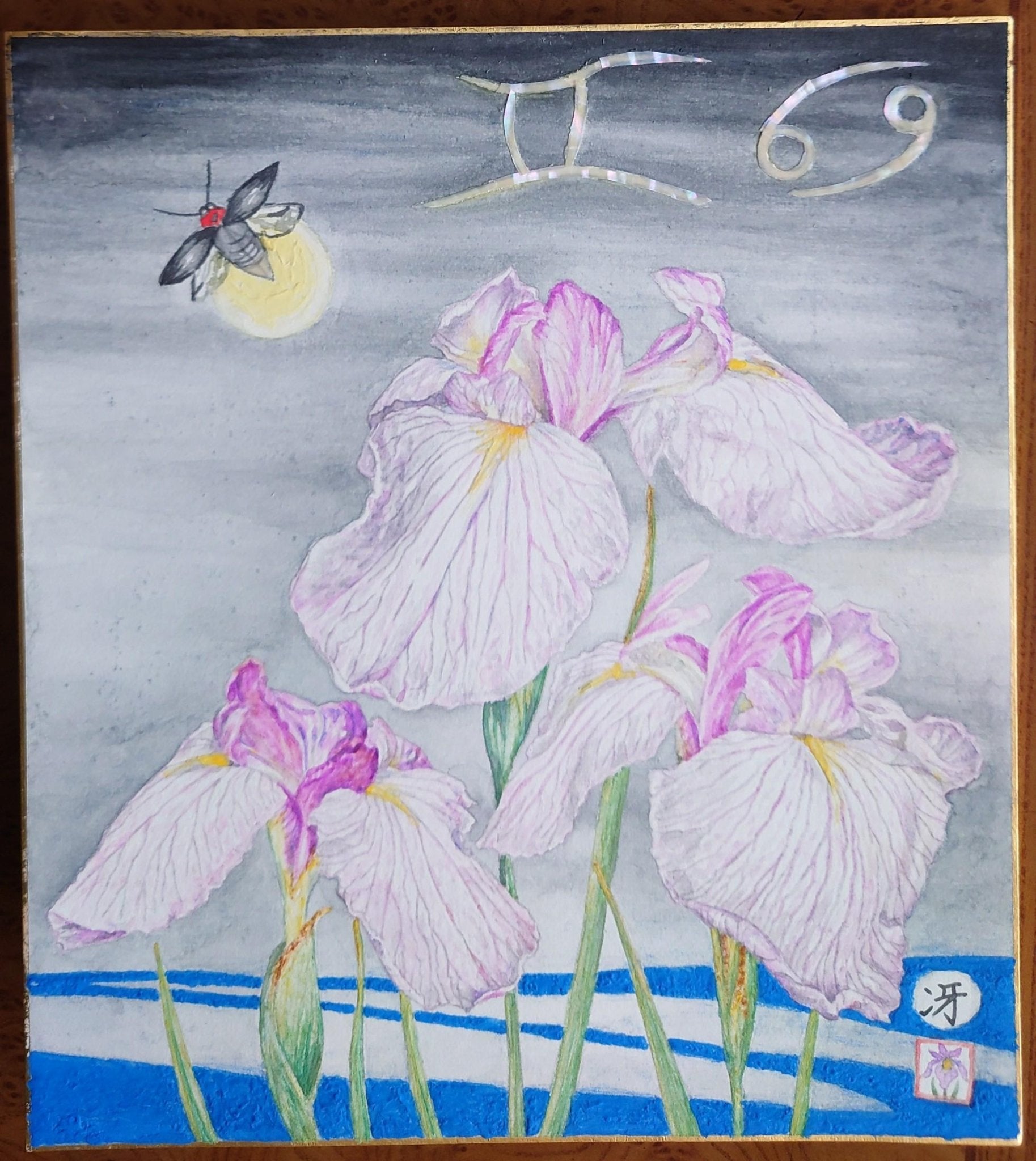 菖蒲華 蛍の候 - FROM ARTIST