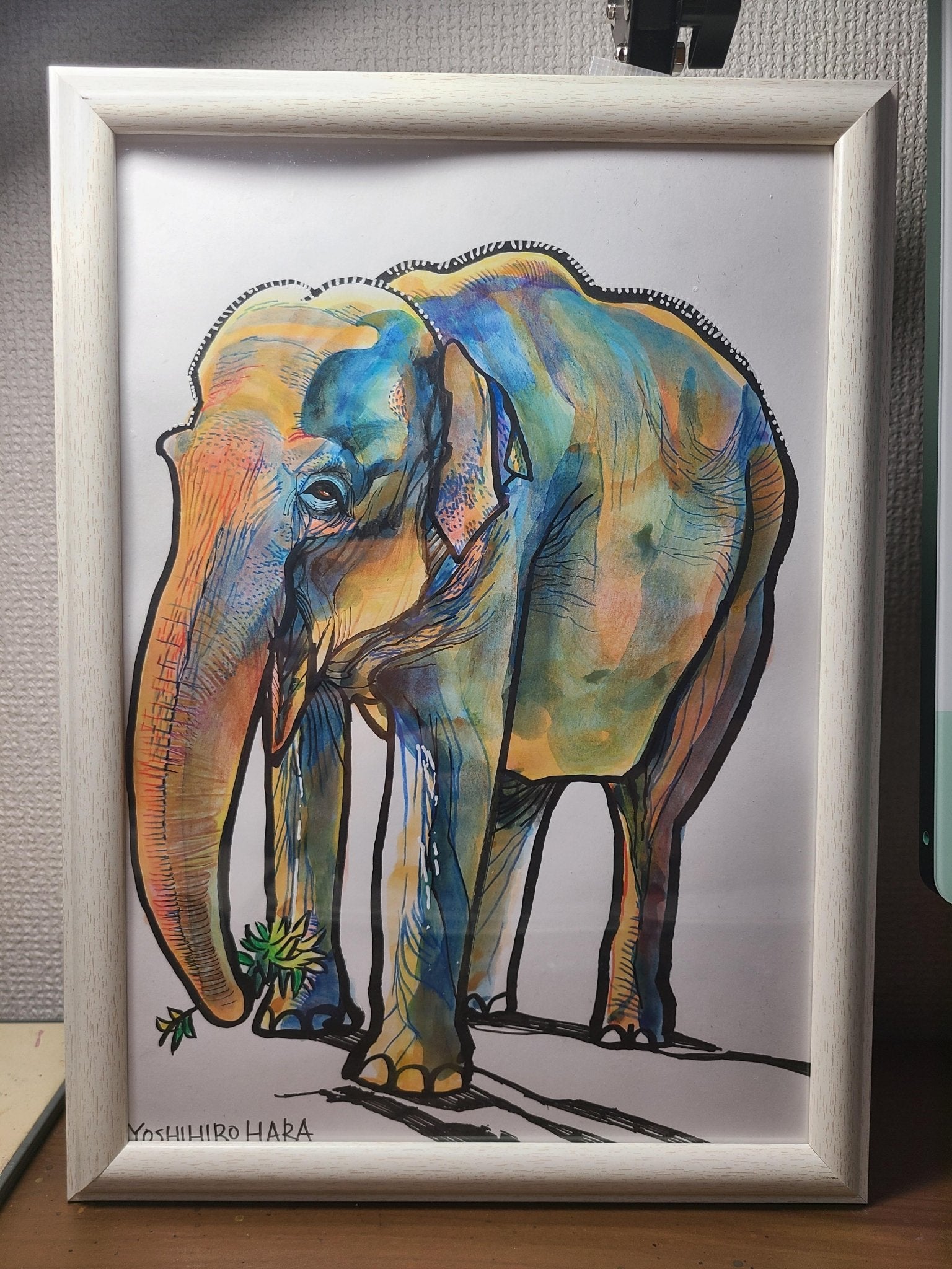 インドゾウ - FROM ARTIST