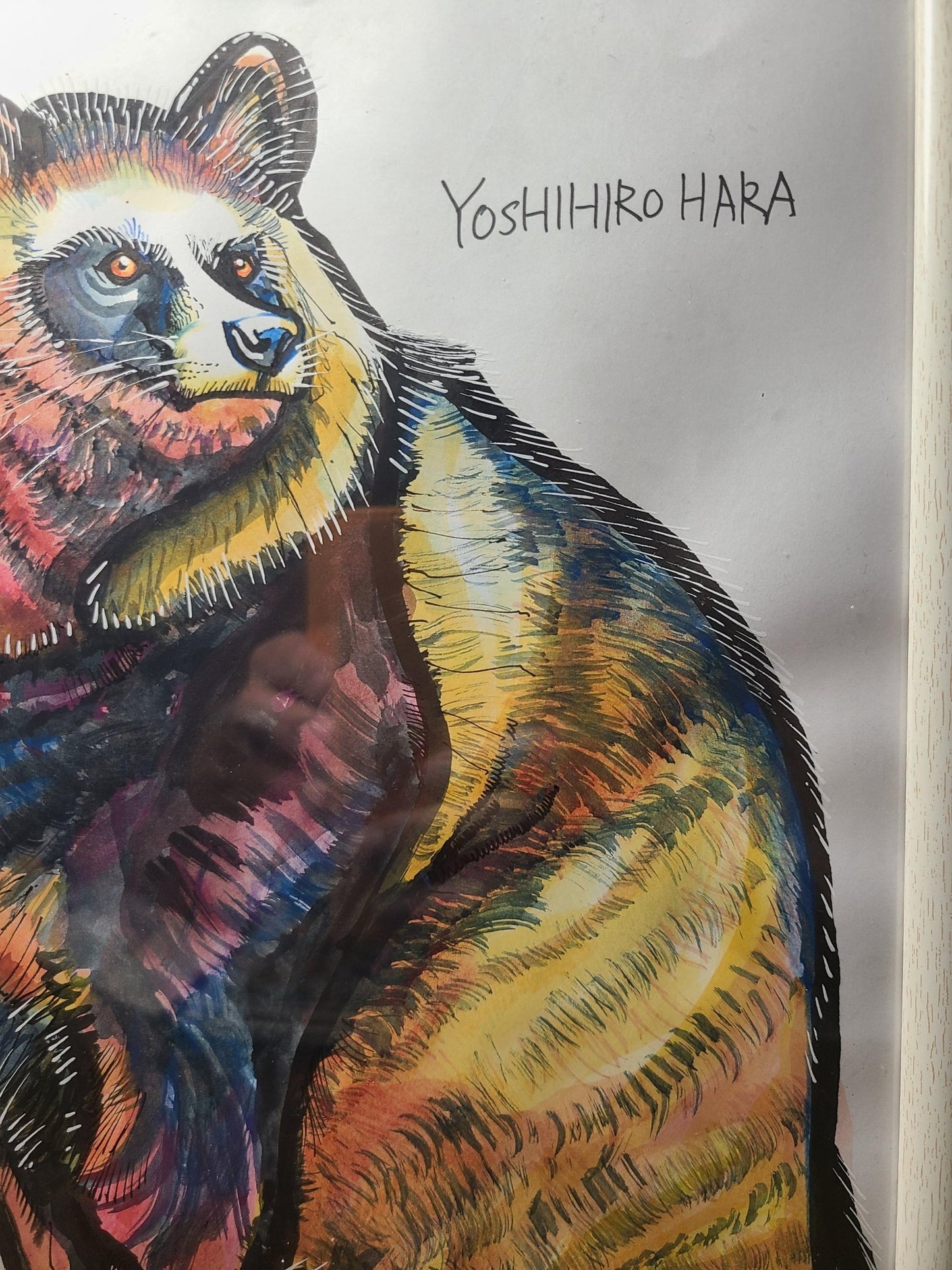 タヌキ - FROM ARTIST