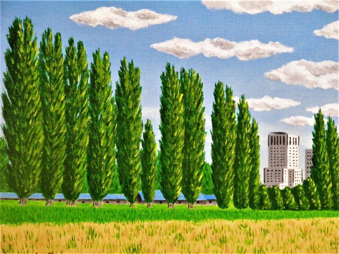 北大 ポプラ並木 - FROM ARTIST