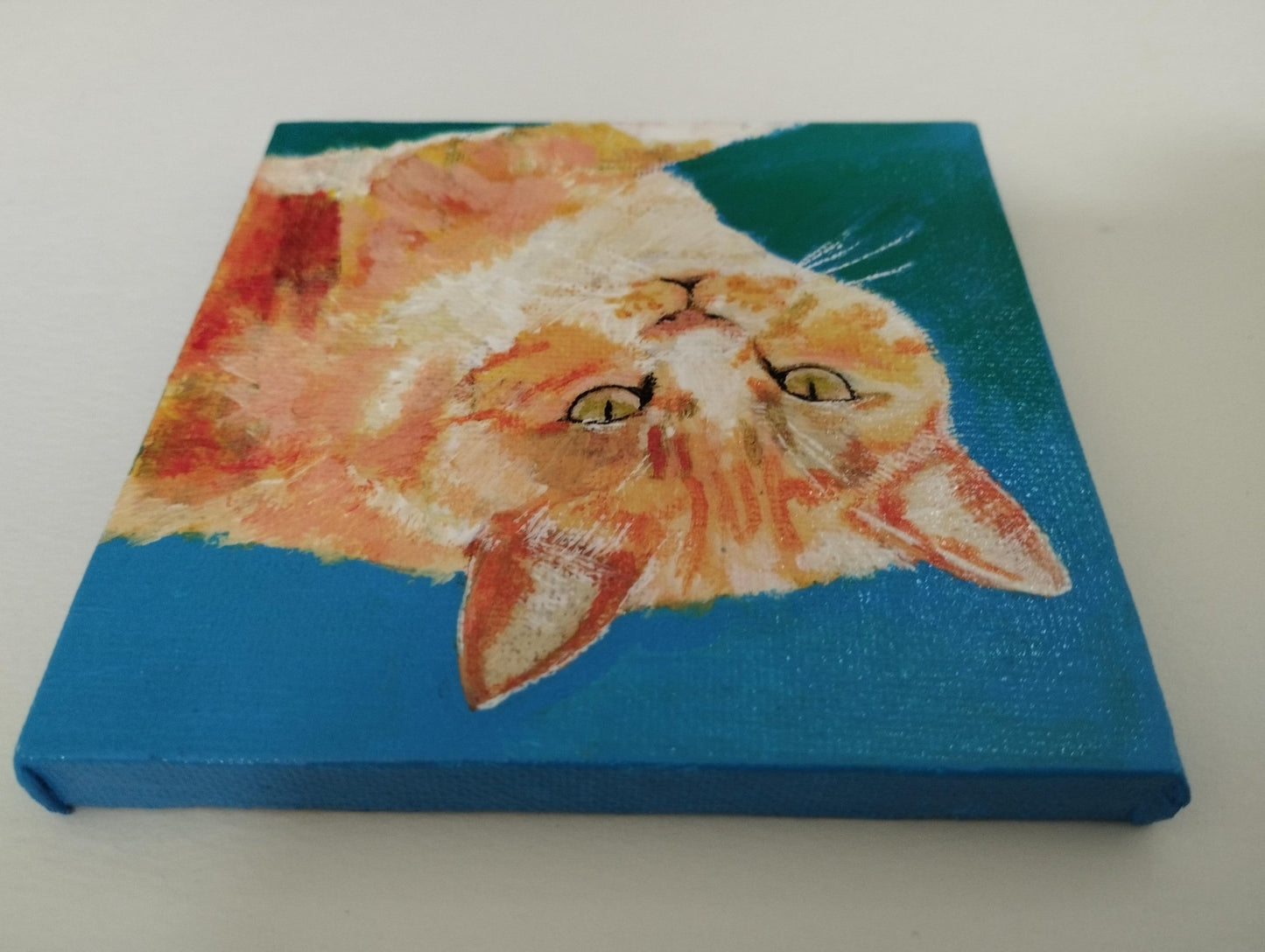 様子を伺う猫 - FROM ARTIST