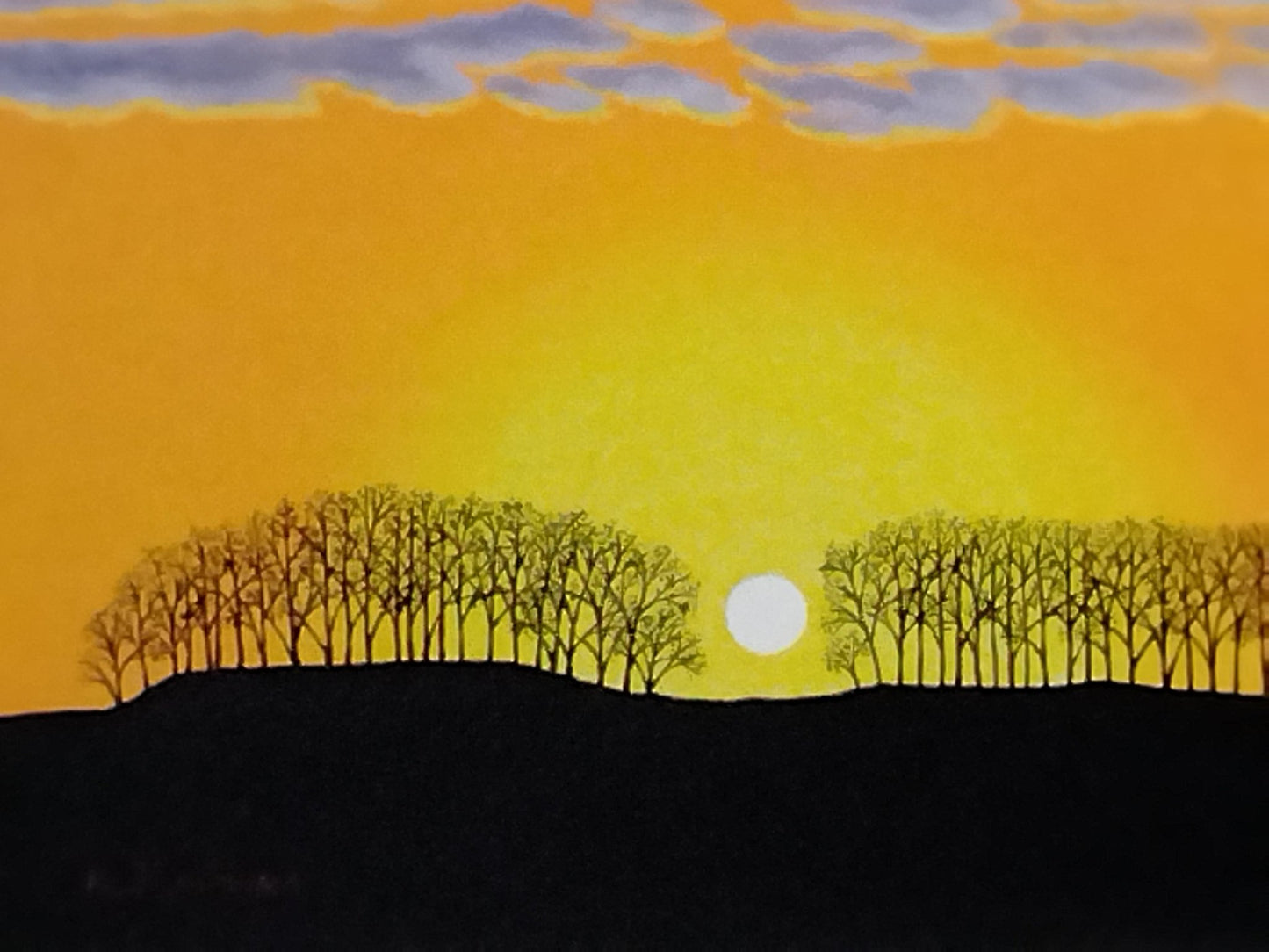 美瑛 夕日のマイルドセブンの丘 - FROM ARTIST