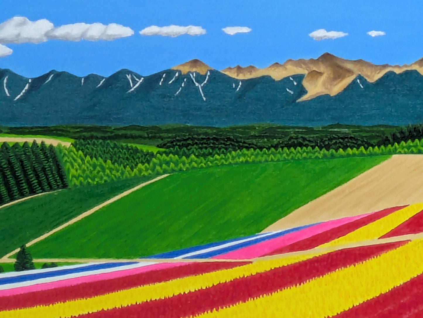 十勝連峰と四季彩の丘 - FROM ARTIST