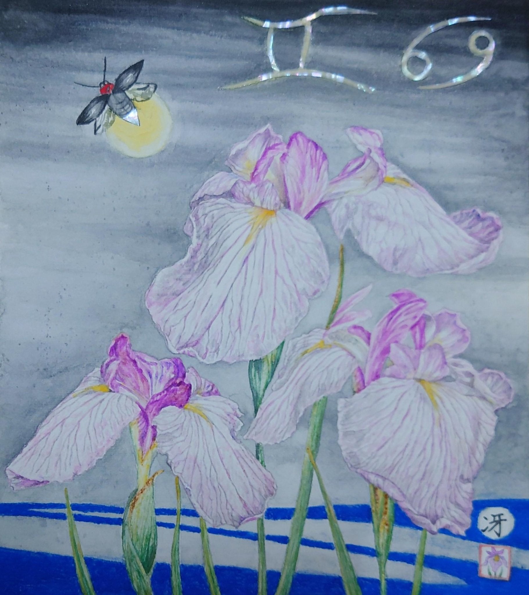 菖蒲華 蛍の候 - FROM ARTIST