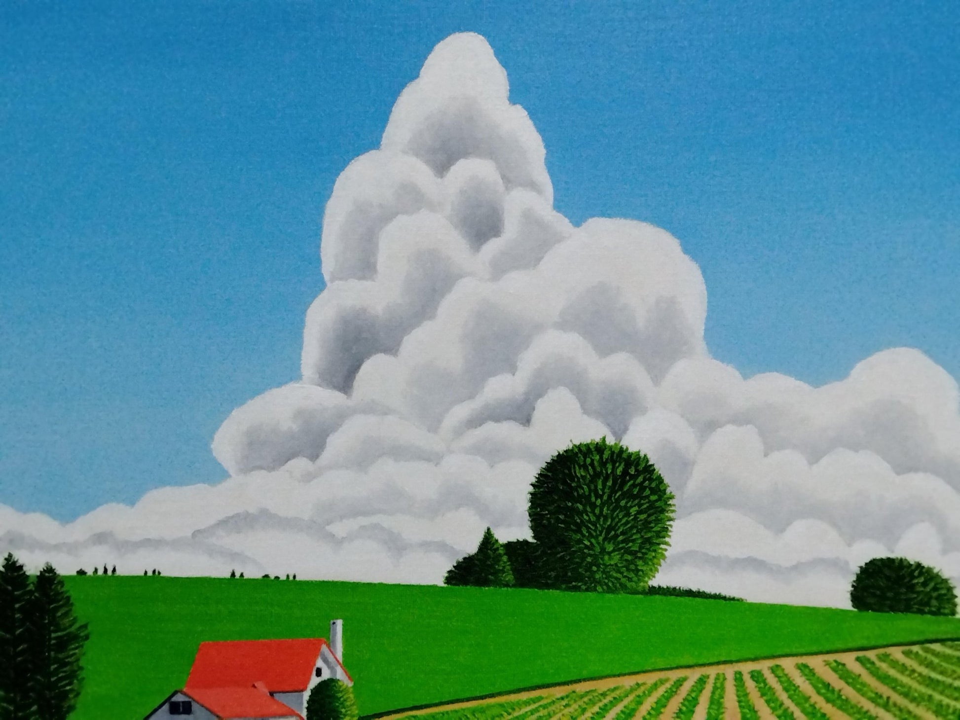 美瑛 畑の中の赤い屋根の家 - FROM ARTIST