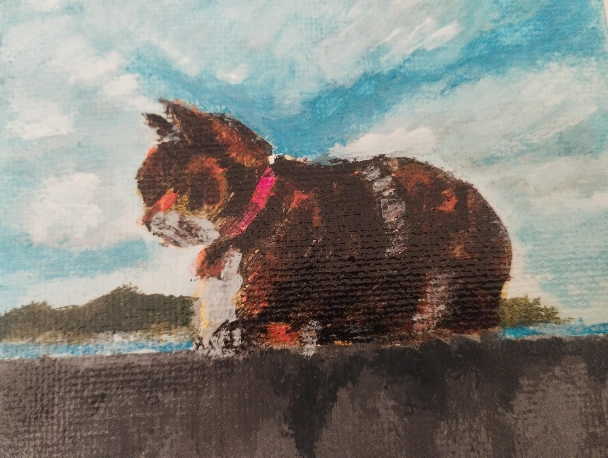 空と猫 - FROM ARTIST