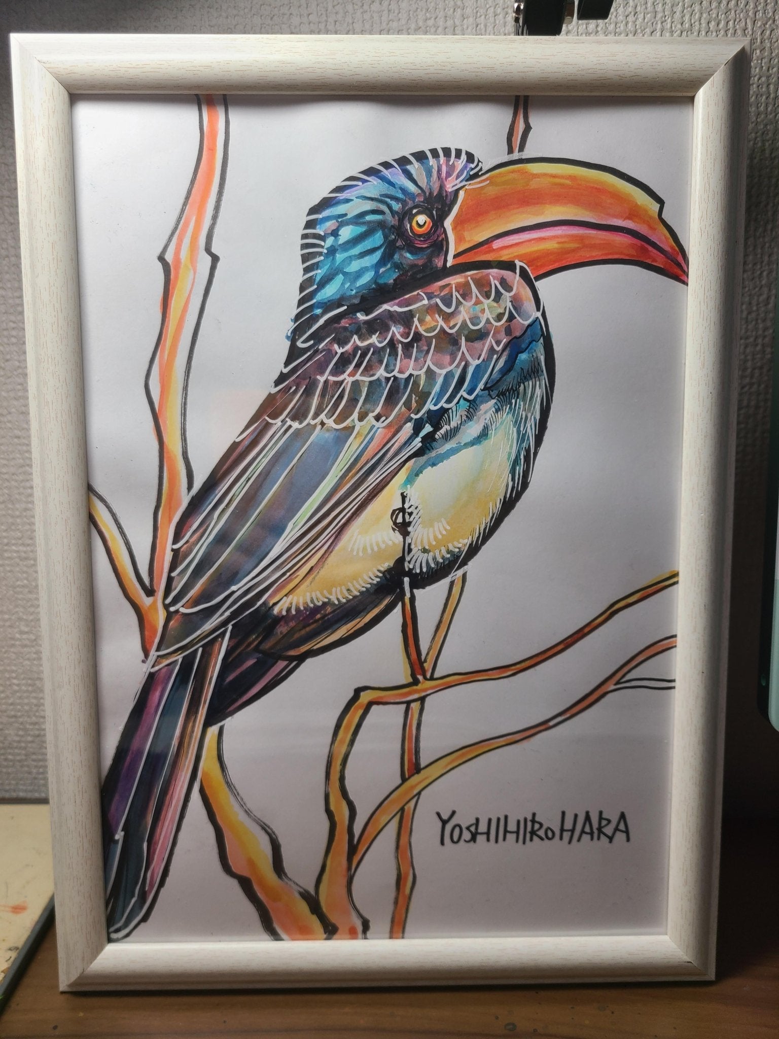 カンムリコサイチョウ - FROM ARTIST