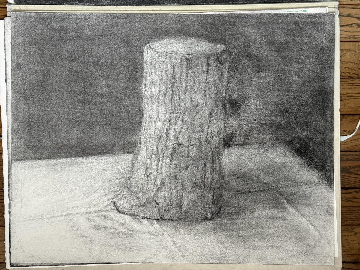 切り株 - FROM ARTIST