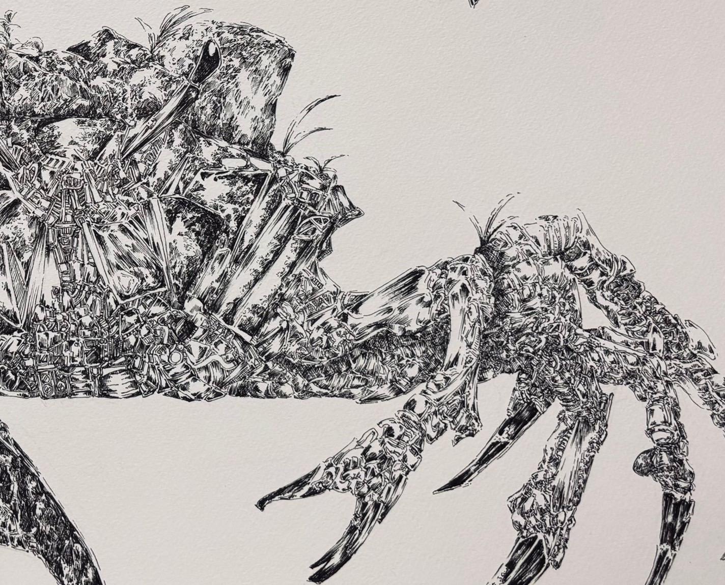 川底機構生態記 - FROM ARTIST