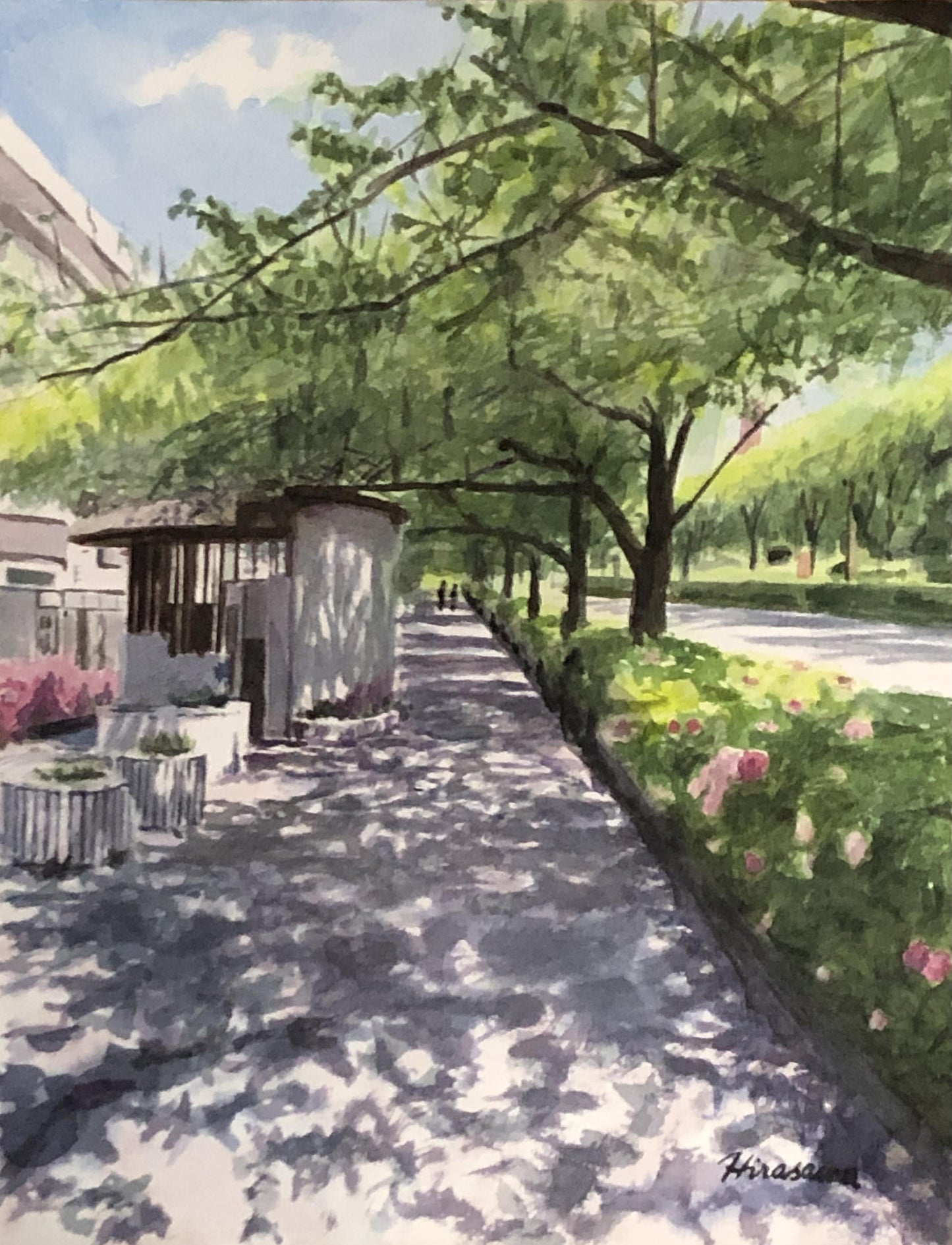 新緑の5月 桜通りの歩道 - FROM ARTIST