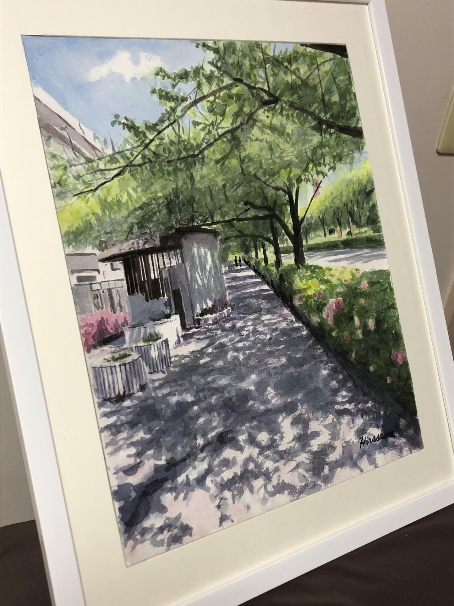 新緑の5月 桜通りの歩道 - FROM ARTIST
