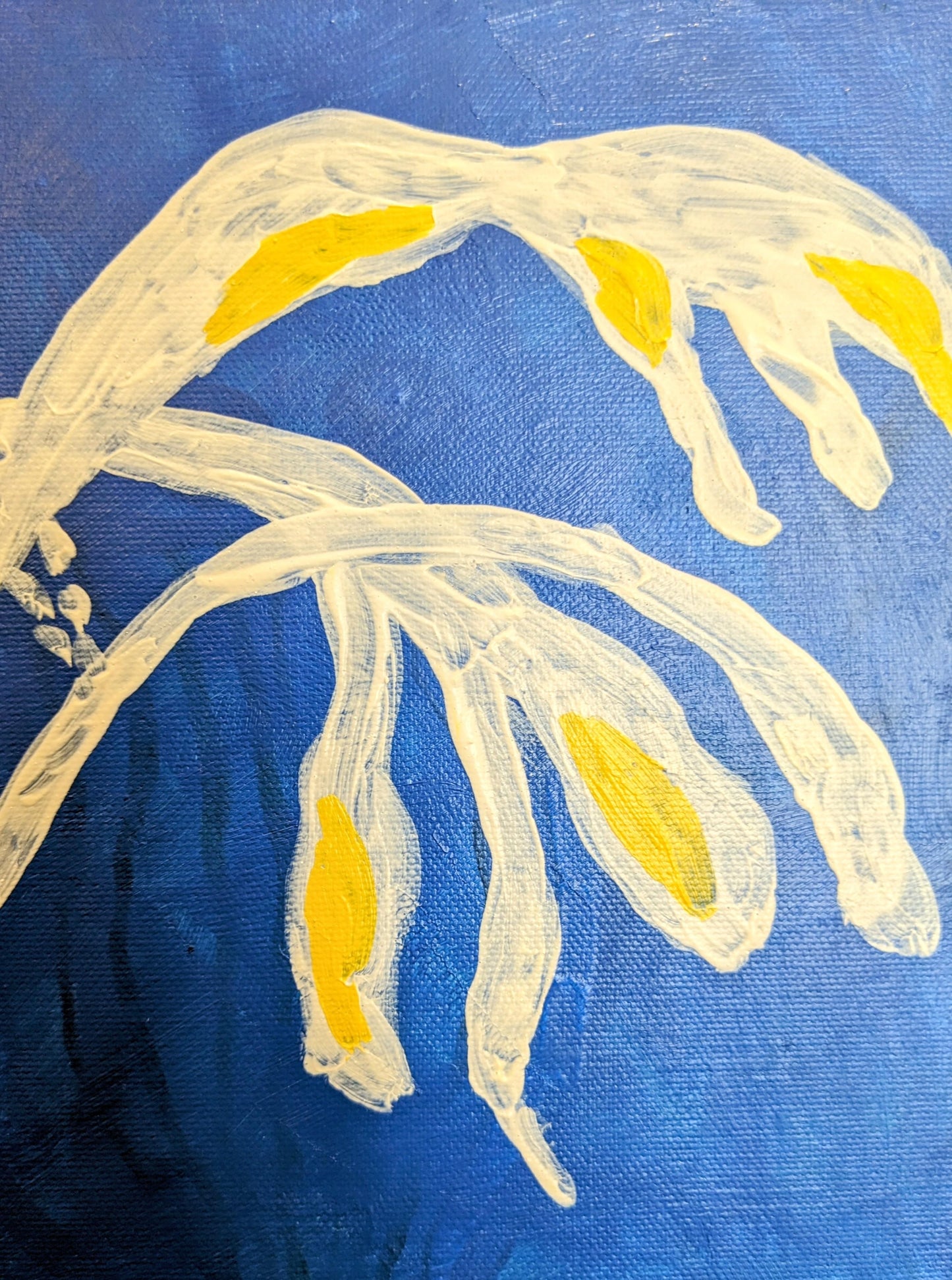 『ブルー・ボタニカル(Blue botanical)』 - FROM ARTIST