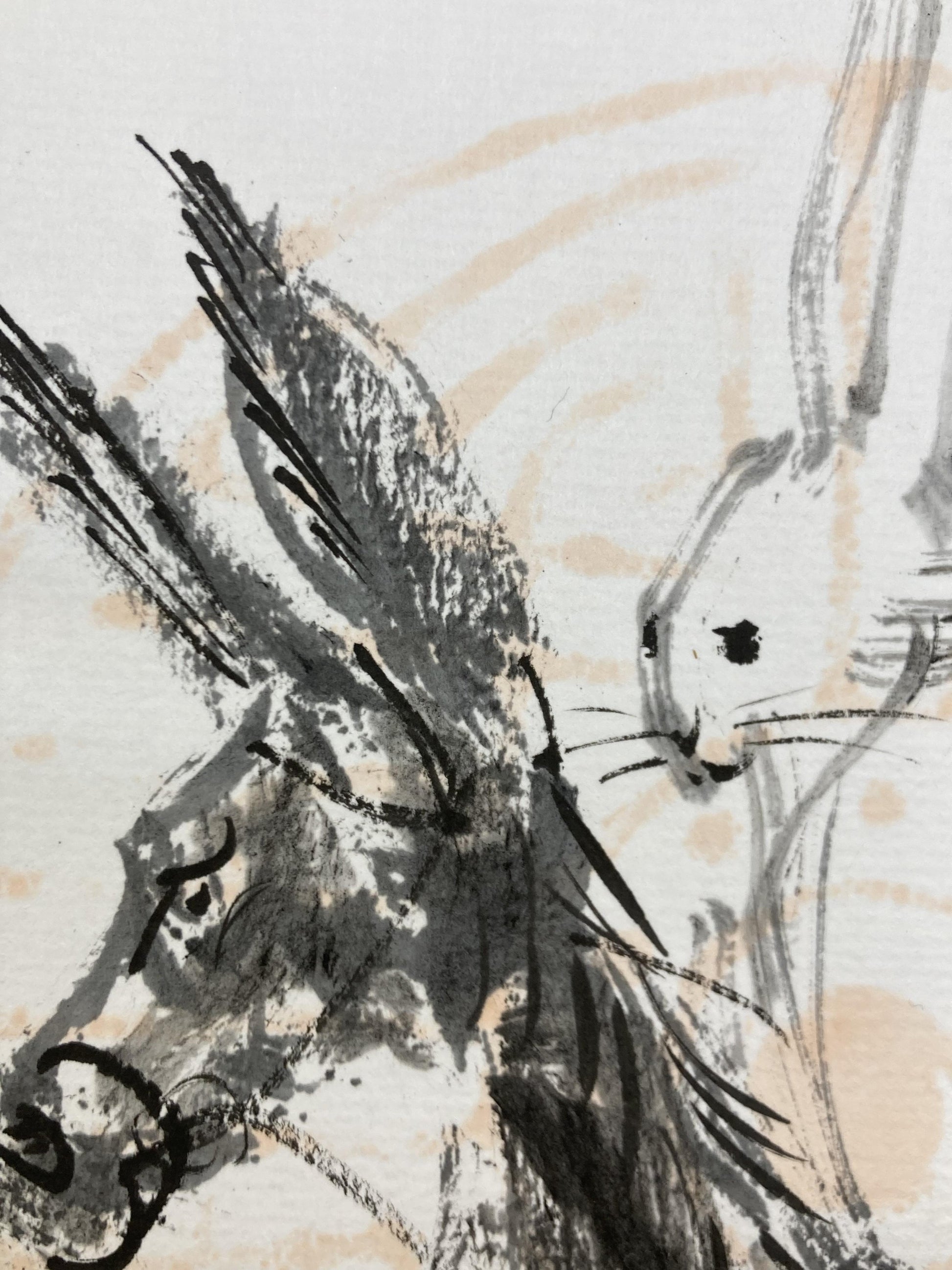 Don Quixote 2023 - FROM ARTIST