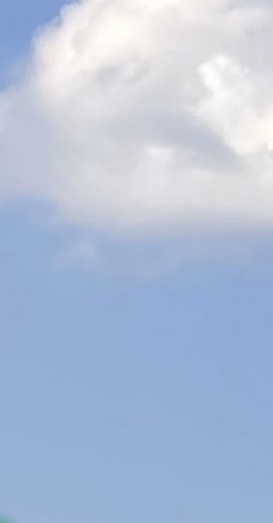 Littlelys Rosa 【たたずむ】 - FROM ARTIST