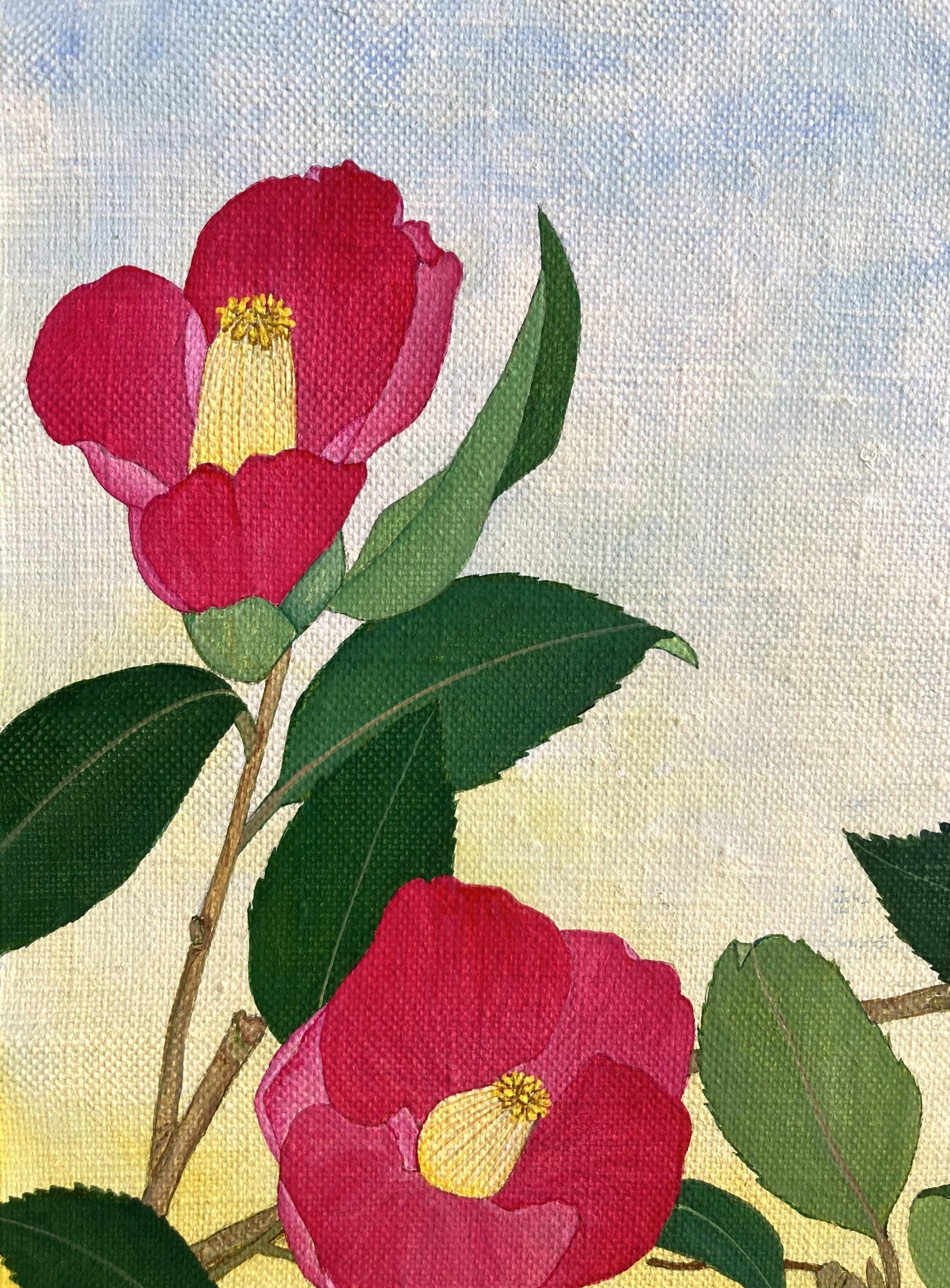 椿爛漫 - FROM ARTIST