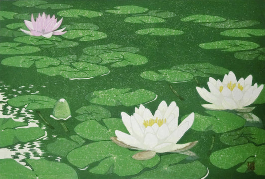 睡蓮 - FROM ARTIST