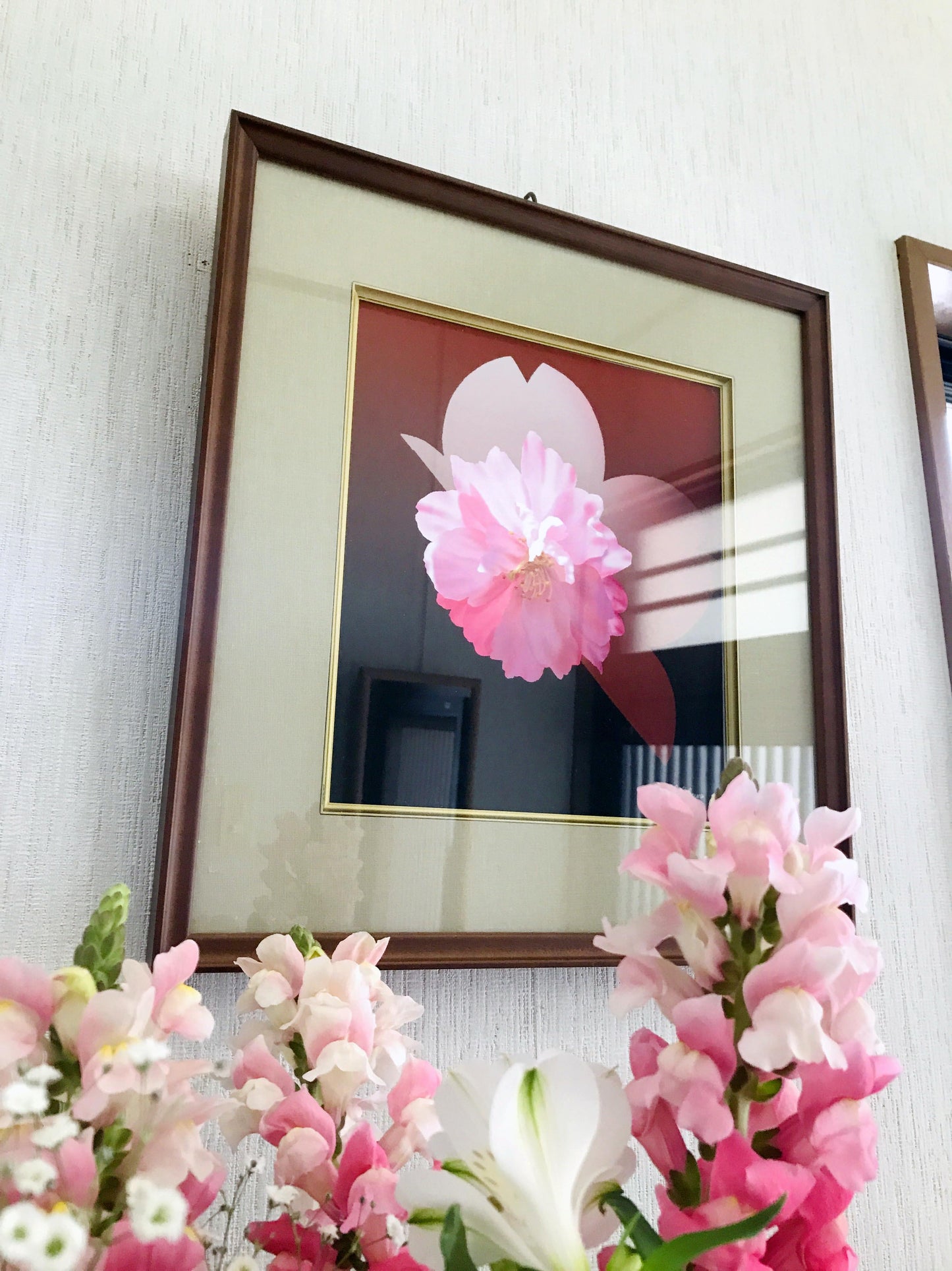 桜一輪 - FROM ARTIST