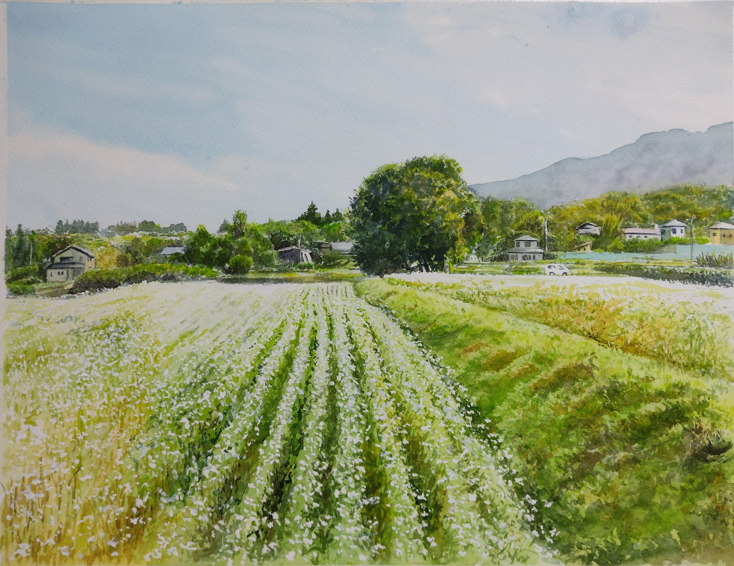 停車し眺めた風景 - FROM ARTIST