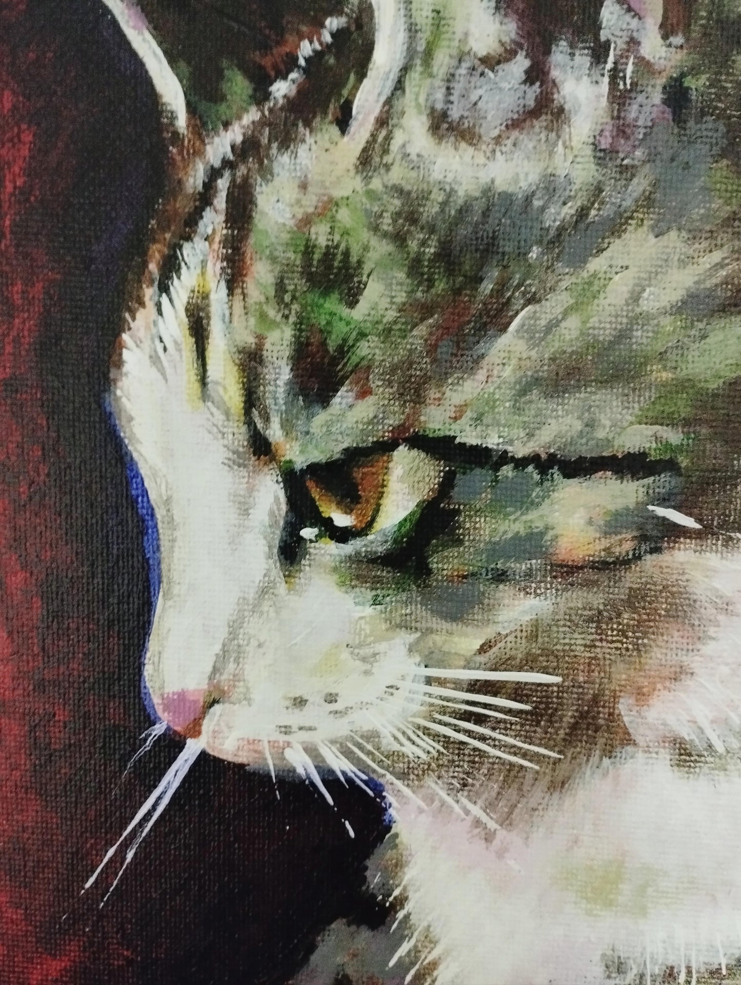 真剣な横顔の猫 - FROM ARTIST