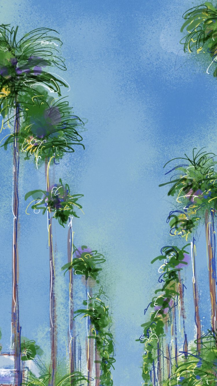 逗子マリーナ - FROM ARTIST