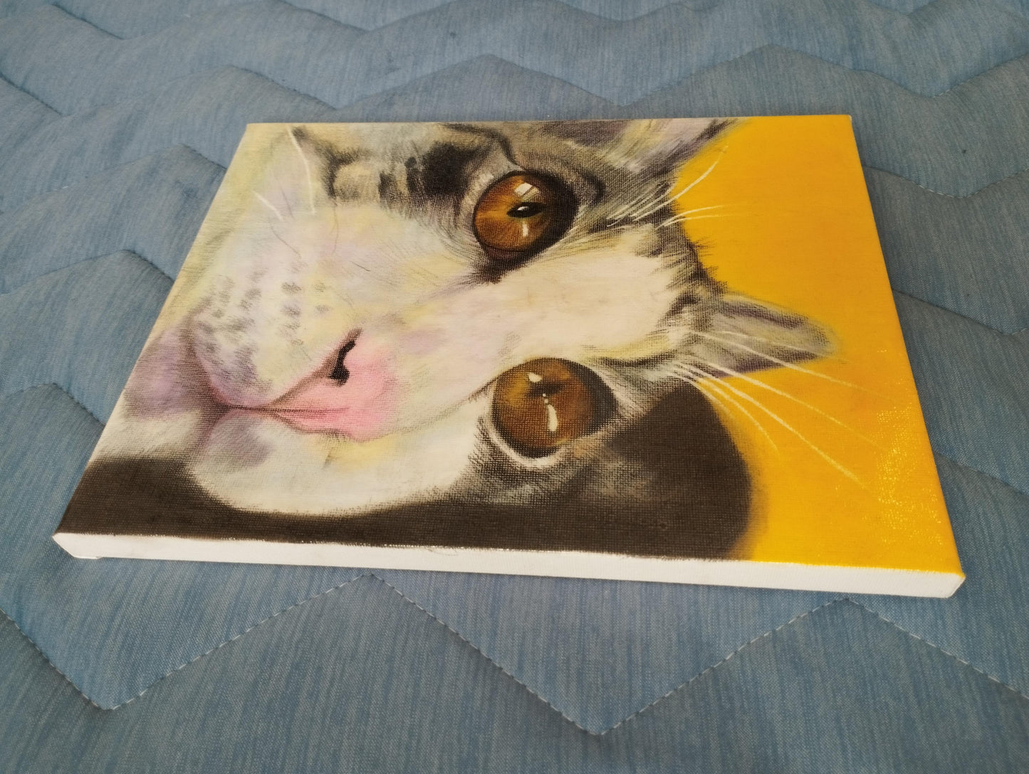 上を見る猫 - FROM ARTIST