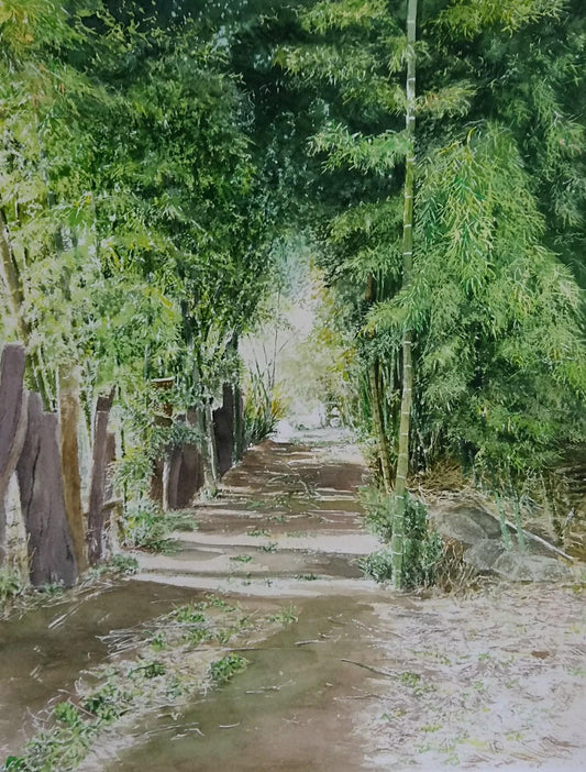 保護区への道 - FROM ARTIST