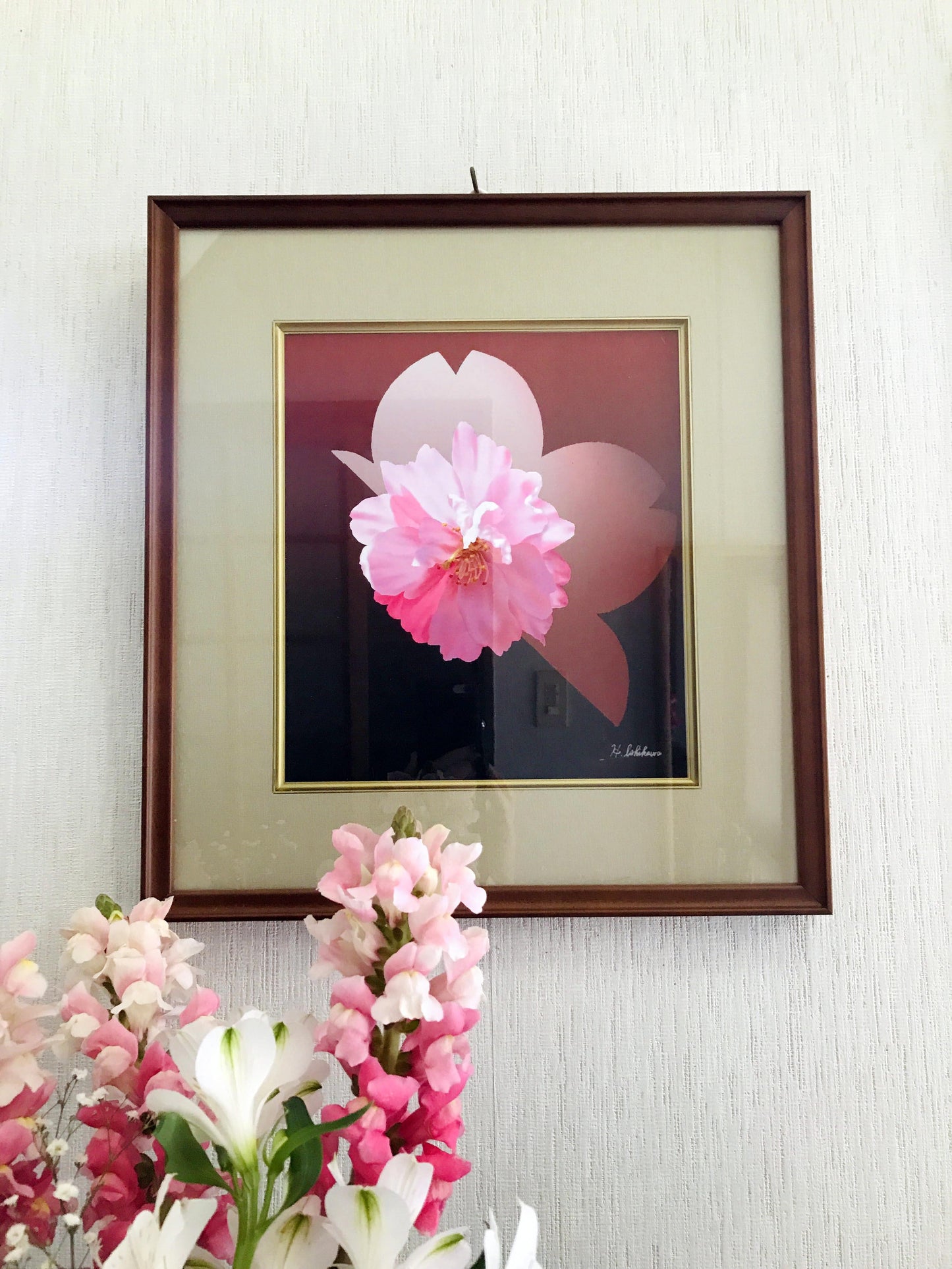 桜一輪 - FROM ARTIST