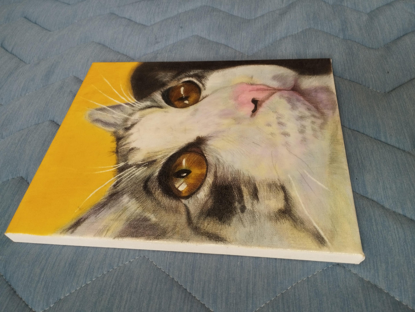 上を見る猫 - FROM ARTIST
