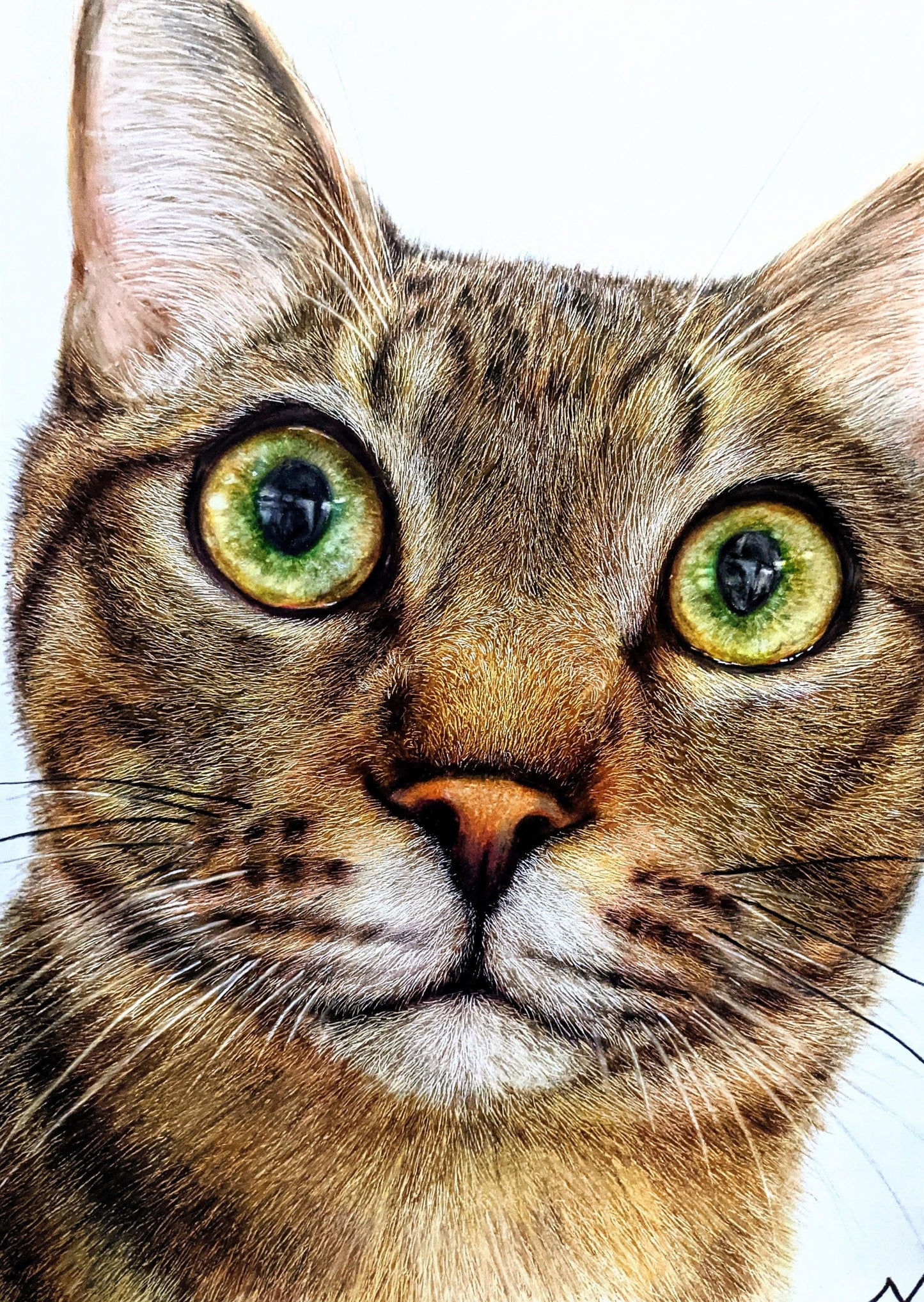 玲瓏 - FROM ARTIST