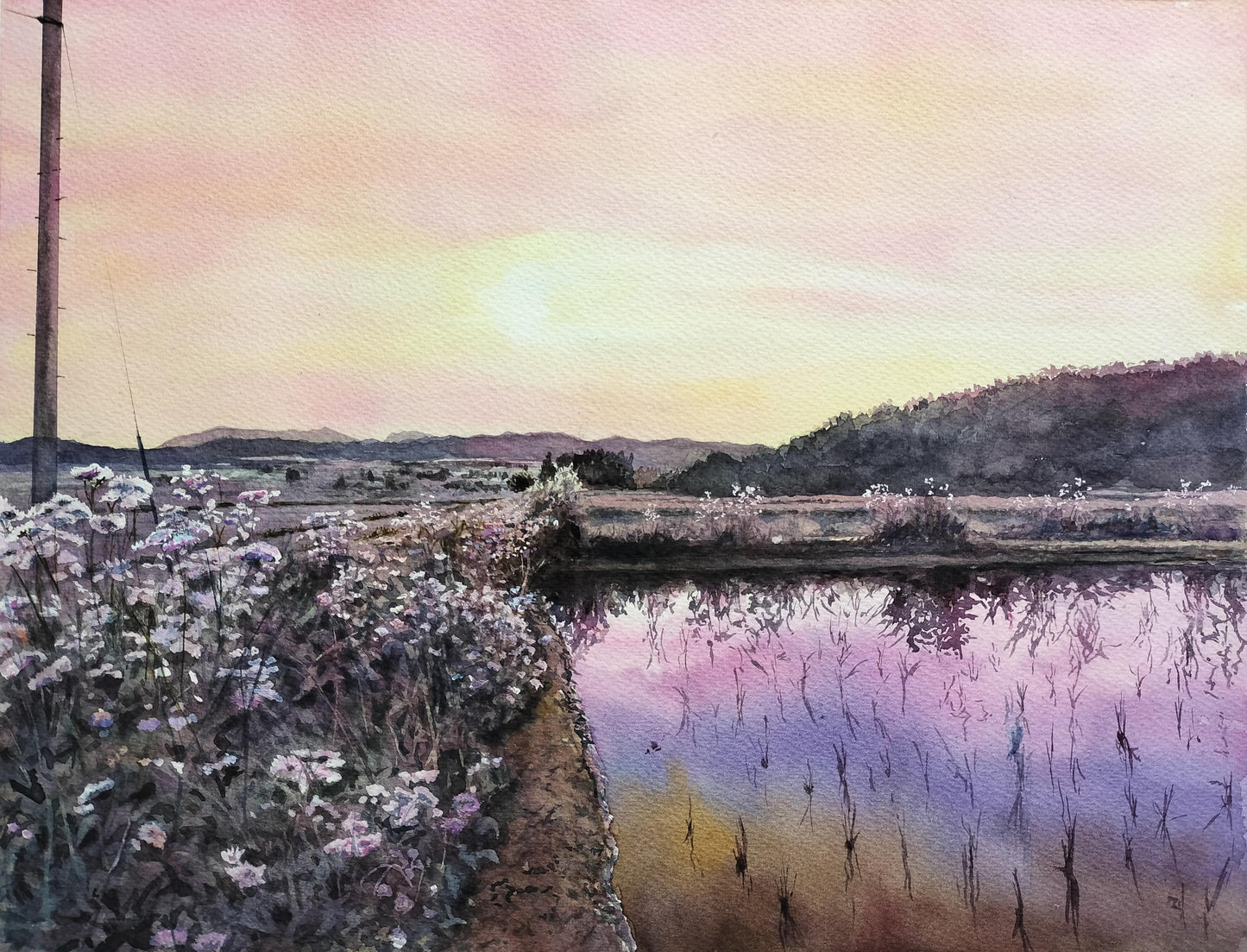 暁の野の花 - FROM ARTIST