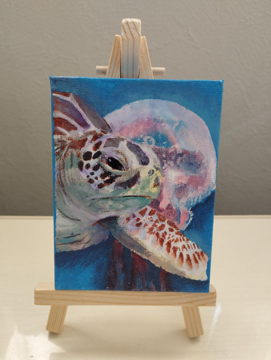 亀とクラゲ - FROM ARTIST