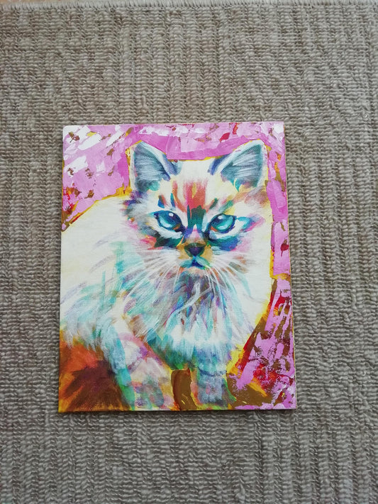 寄り目猫 - FROM ARTIST