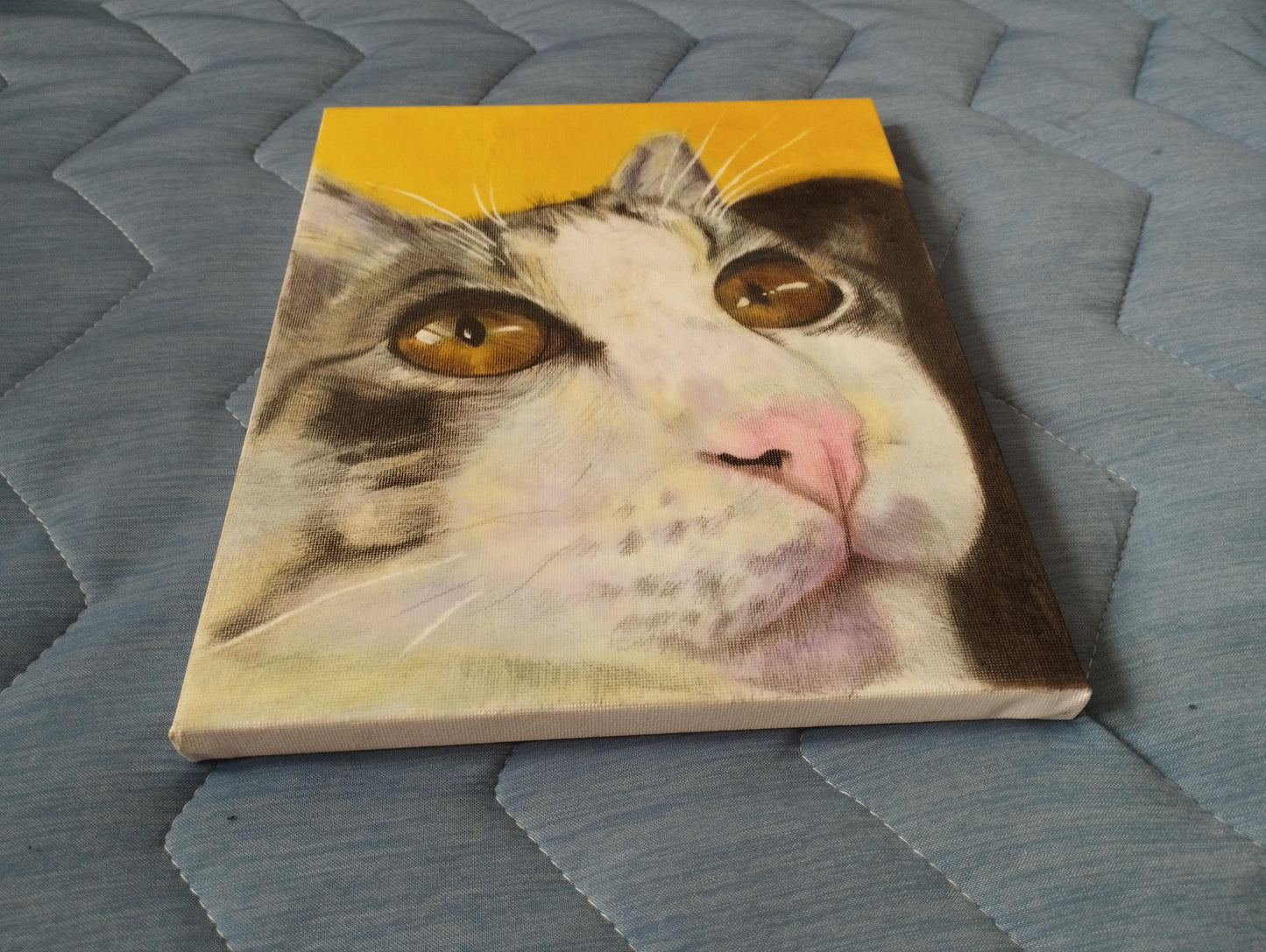 上を見る猫 - FROM ARTIST