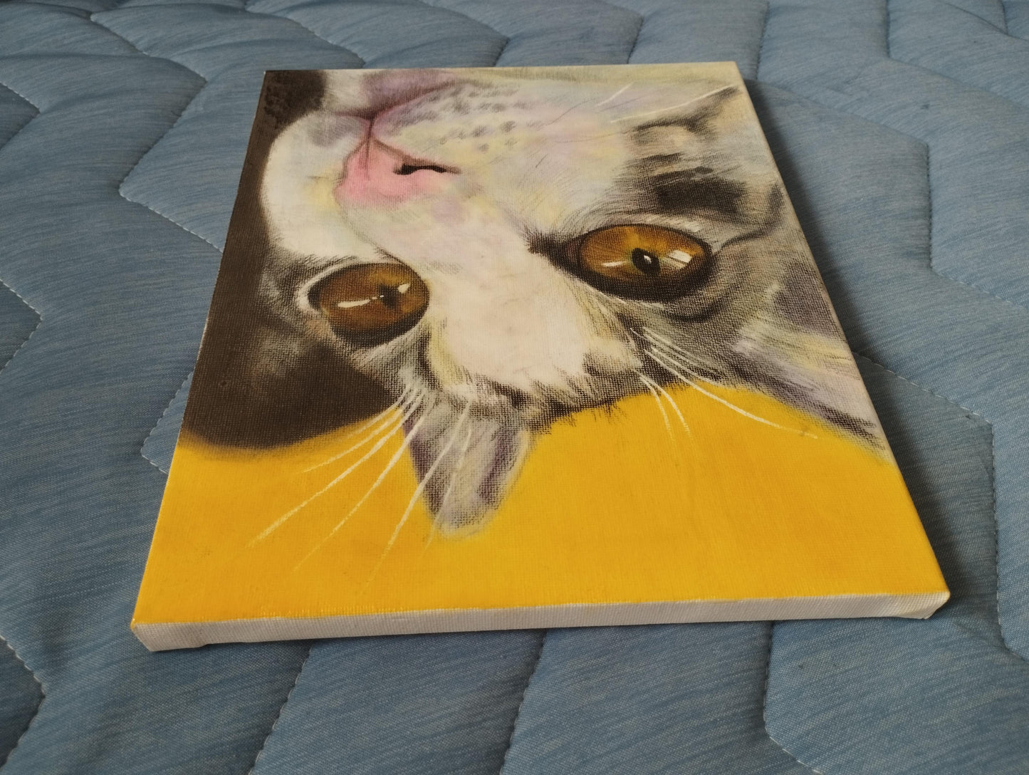 上を見る猫 - FROM ARTIST